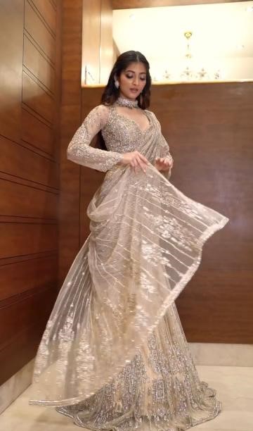 Designer Embroidered Net Saree