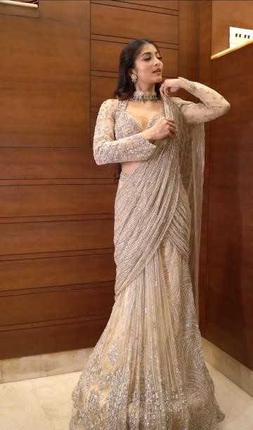 Designer Embroidered Net Saree