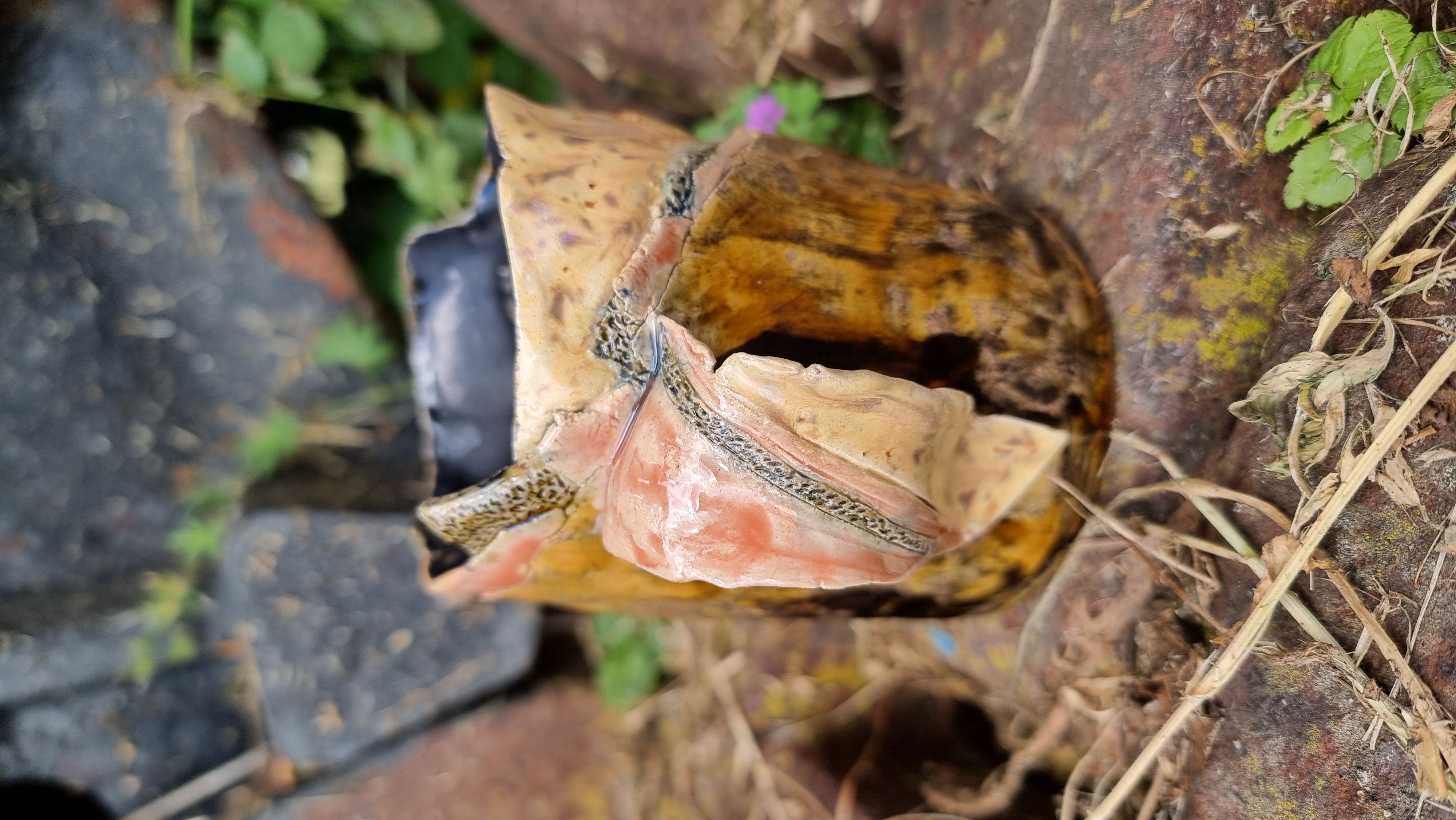 Märchentasse *Fairy Cup