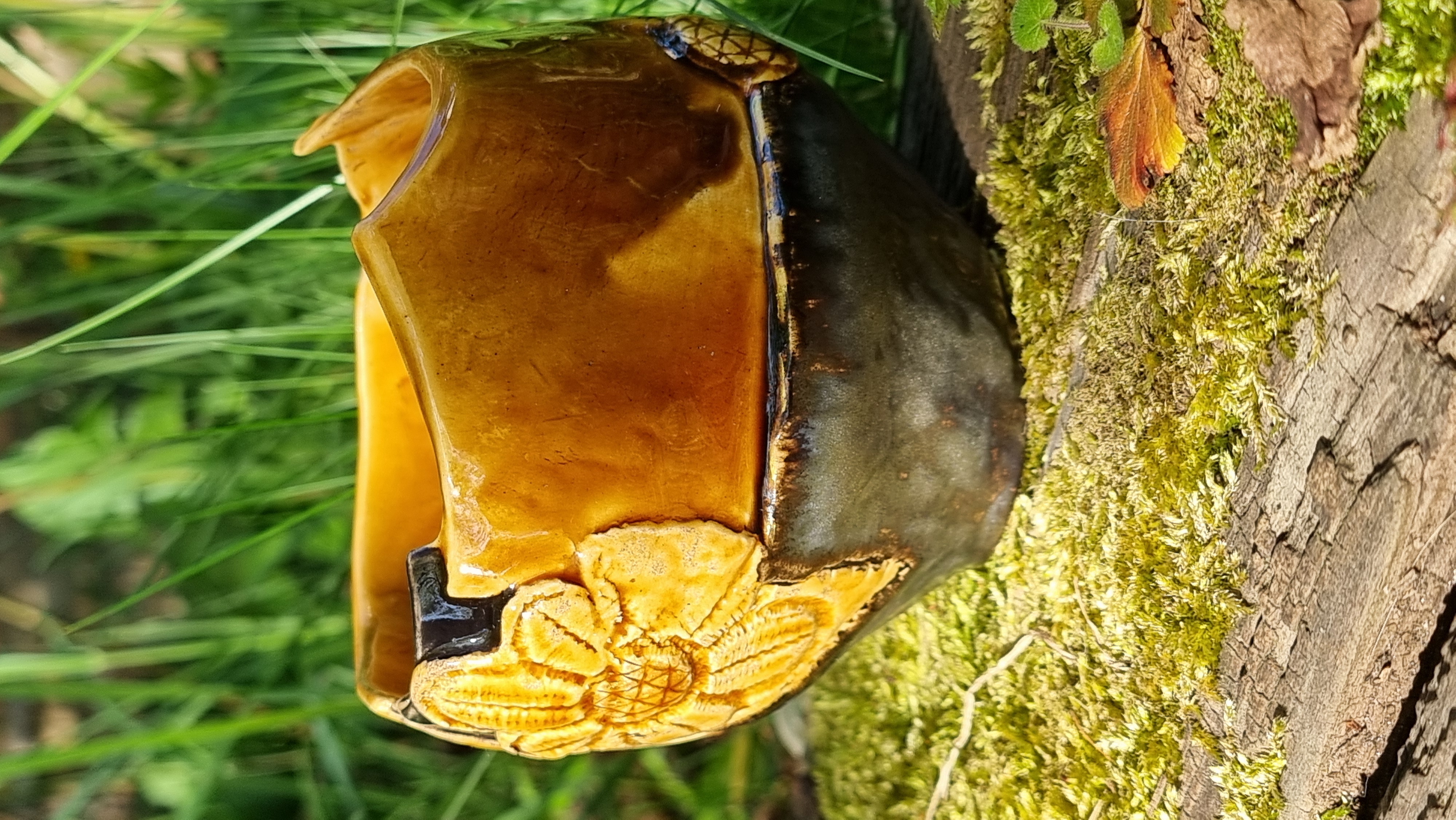 Märchentasse *Fairy Cup