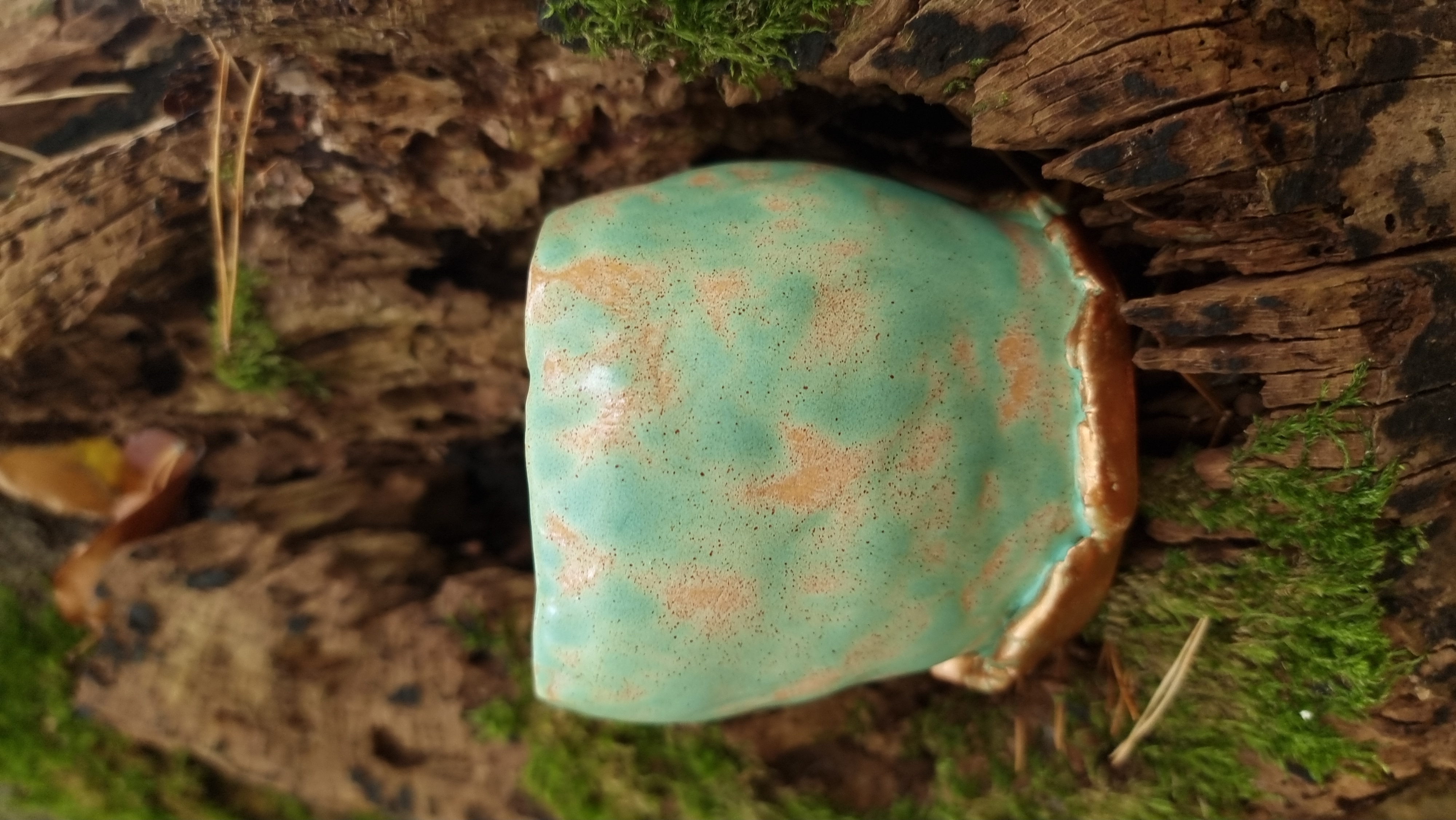 Märchentasse *Fairy Cup