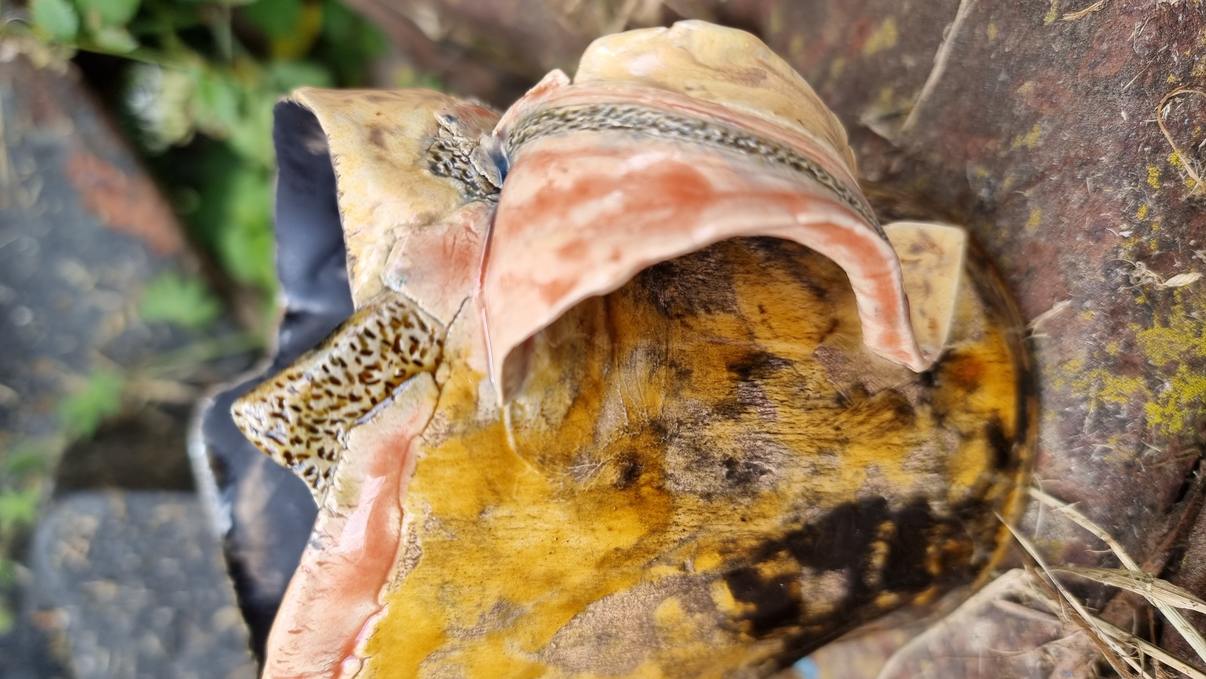 Märchentasse *Fairy Cup