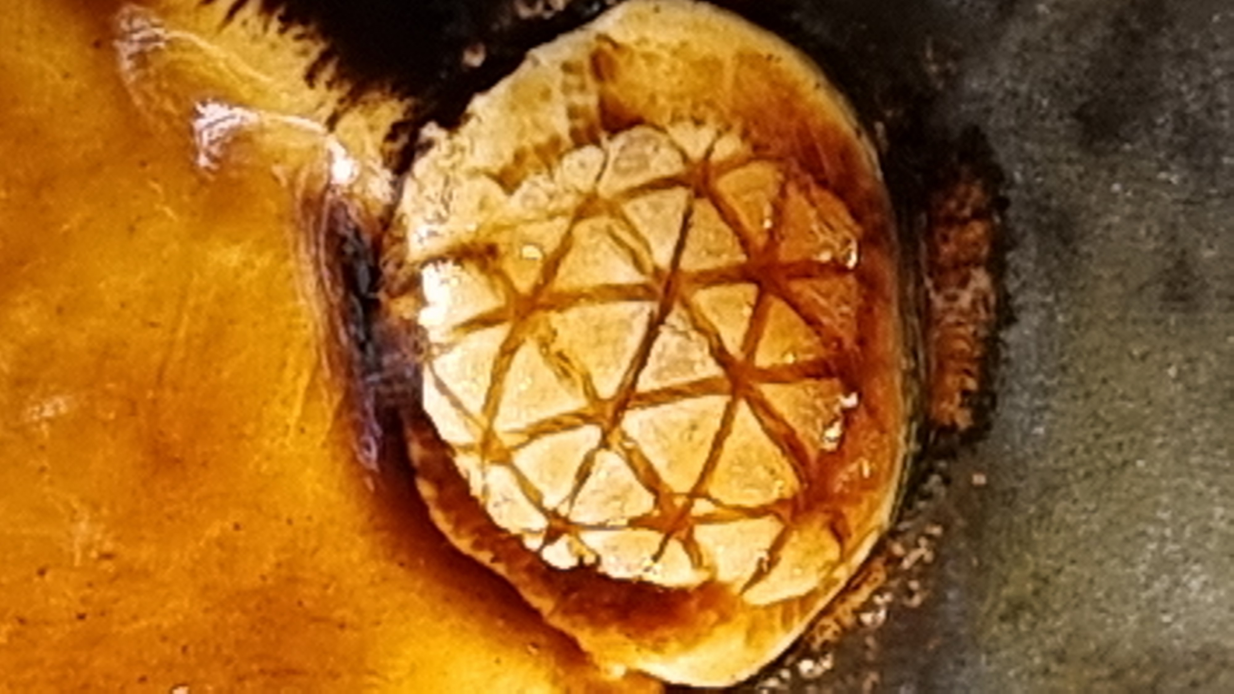 Märchentasse *Fairy Cup