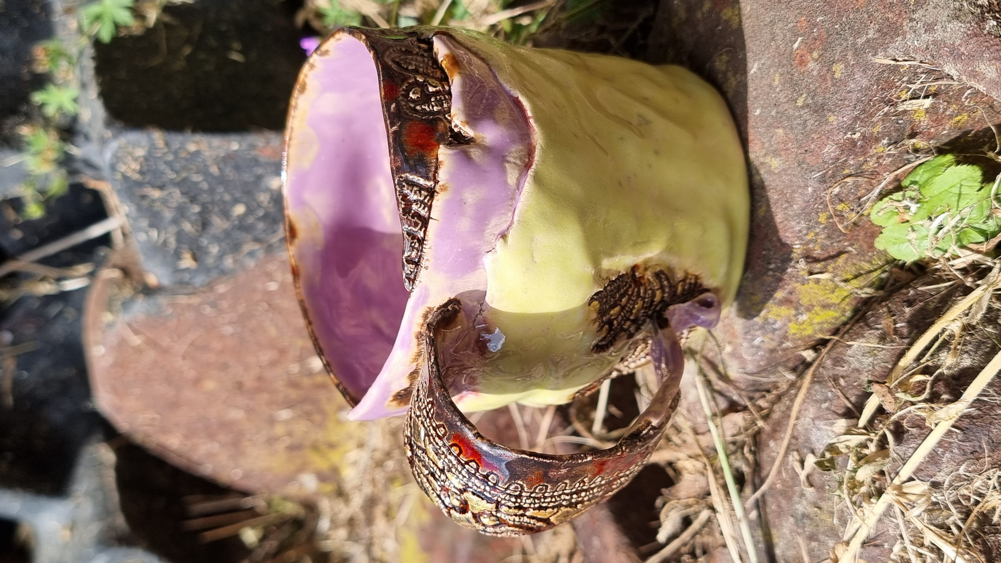 Märchentasse *Fairy Cup