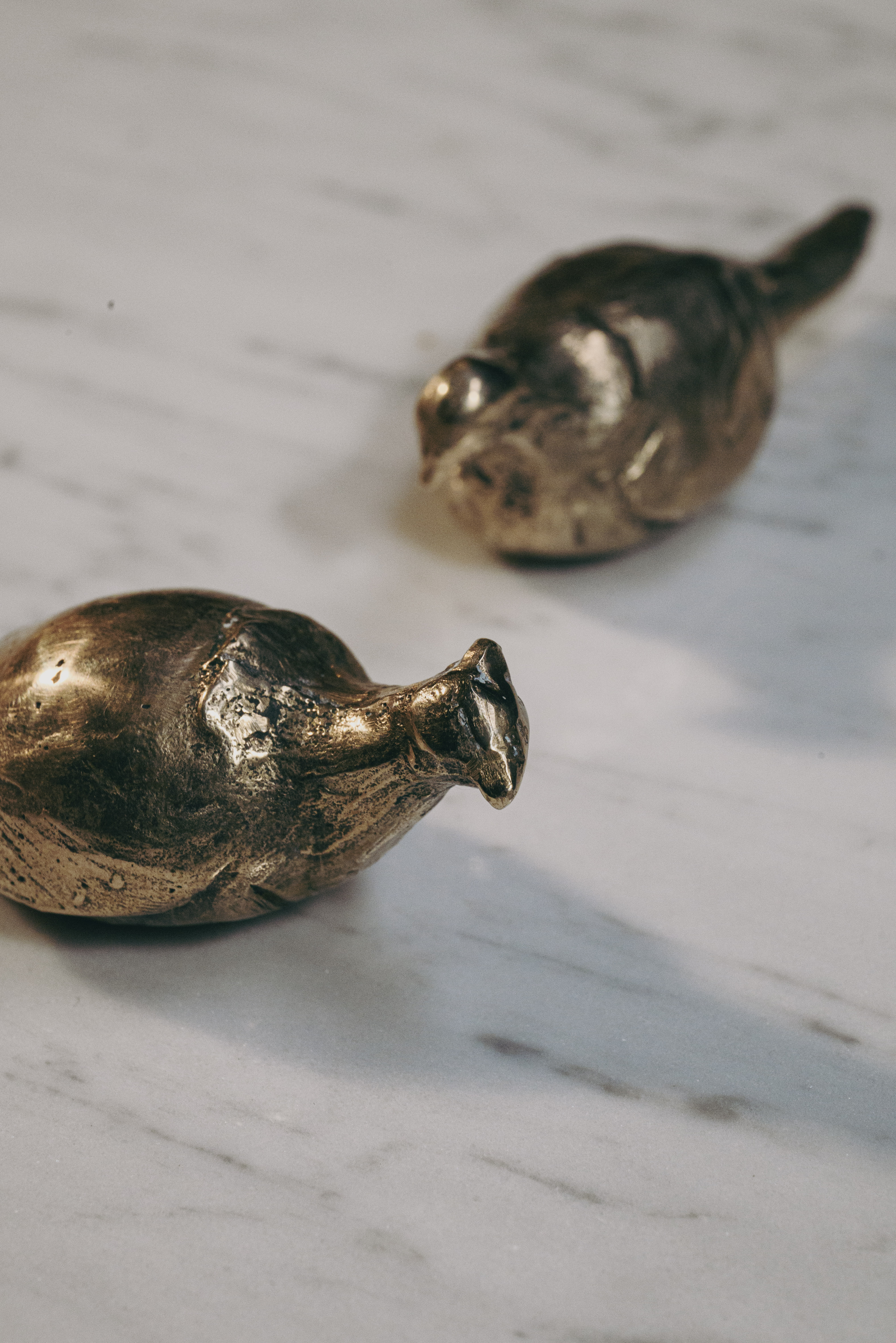 Pheasants