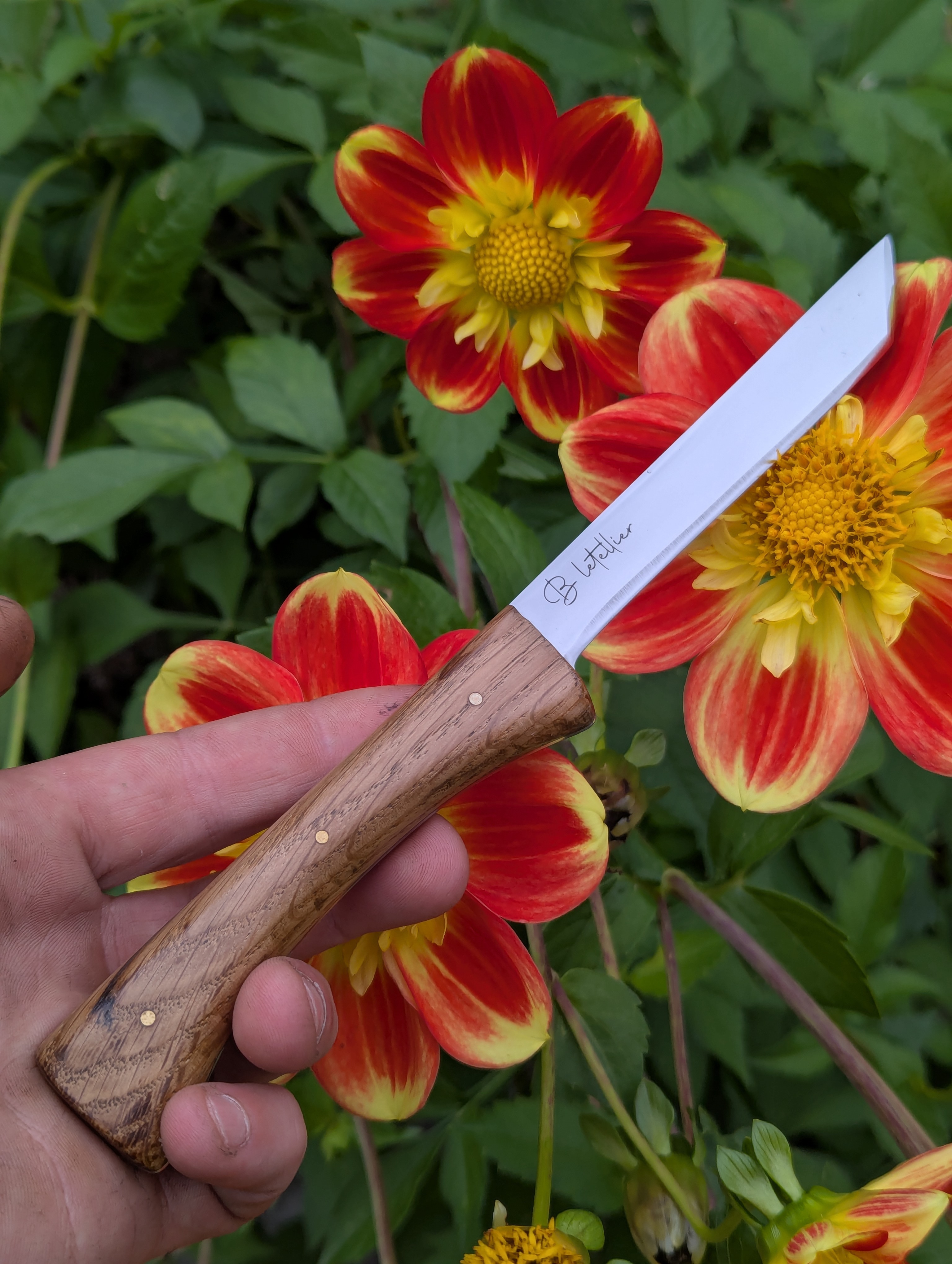 Créations originales