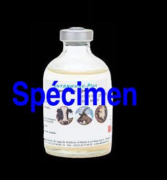 Flacon de vaccin Enterovax-Plus