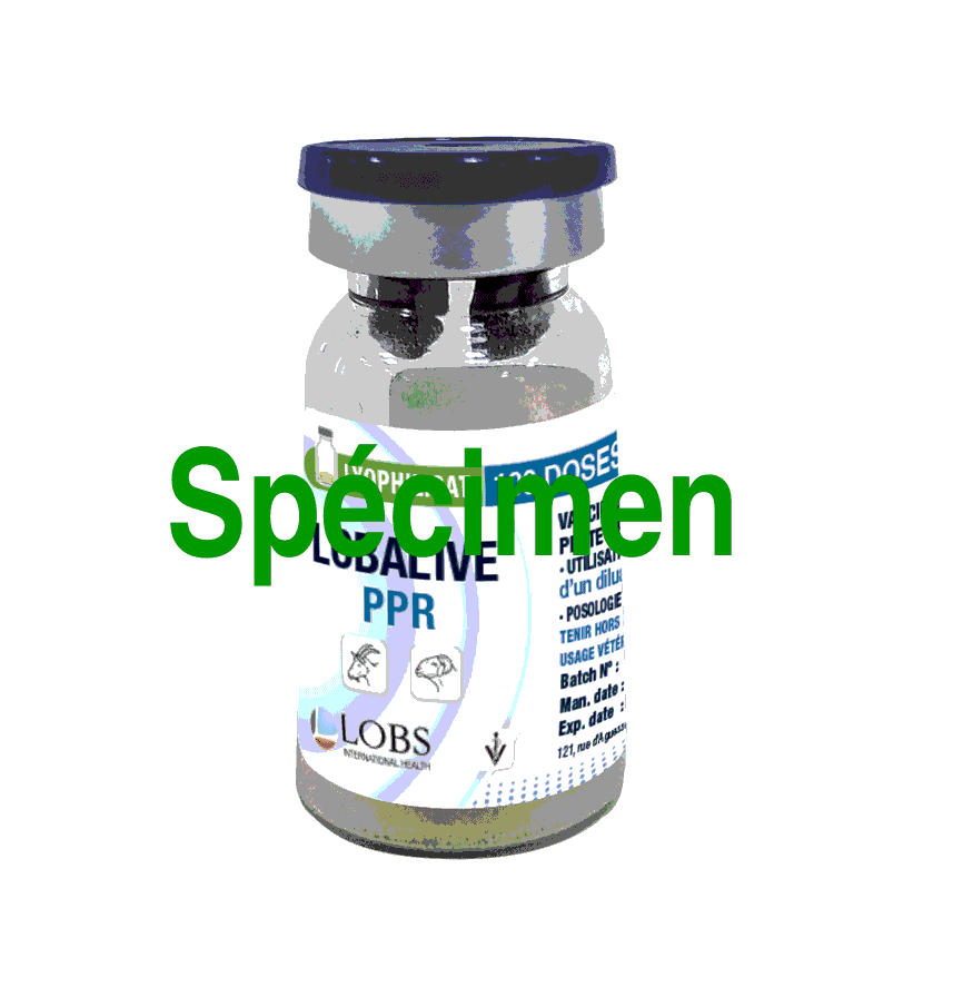 Flacon de vaccin Lobalive PPR