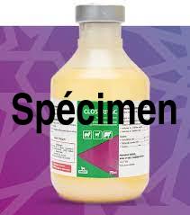 Vaccin contre la clostridiose