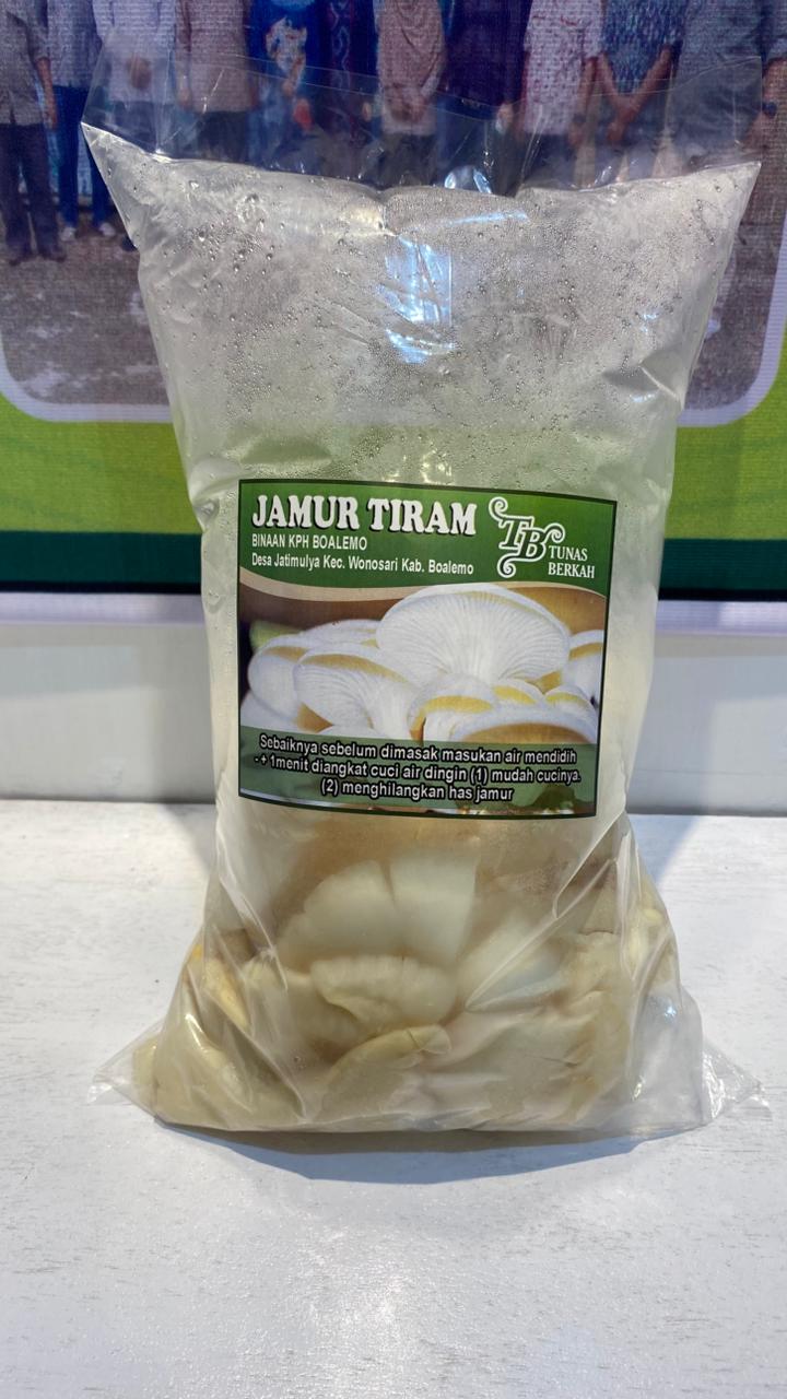 Jamur Tiram
