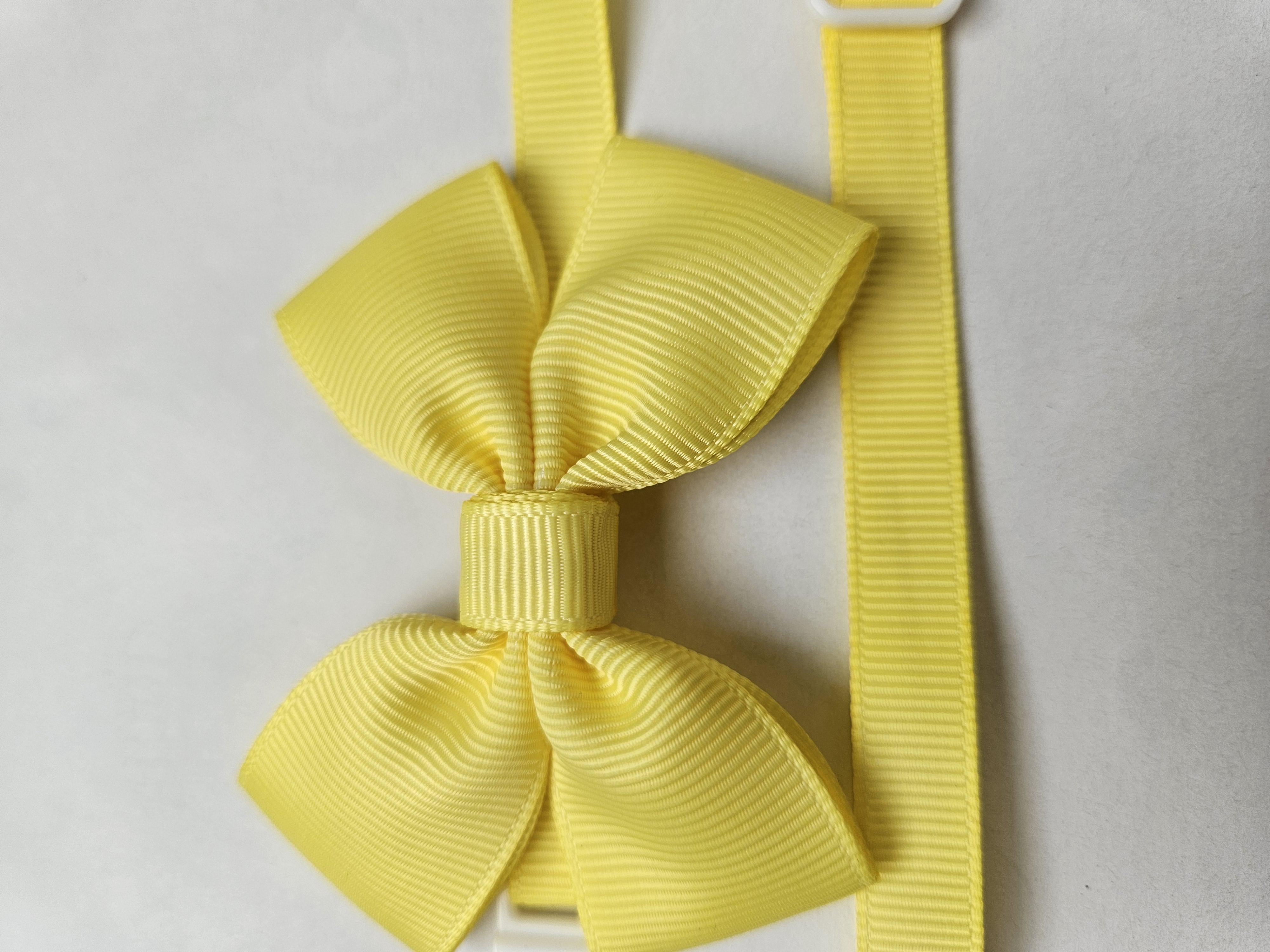 Handmade Double Pet Bow  