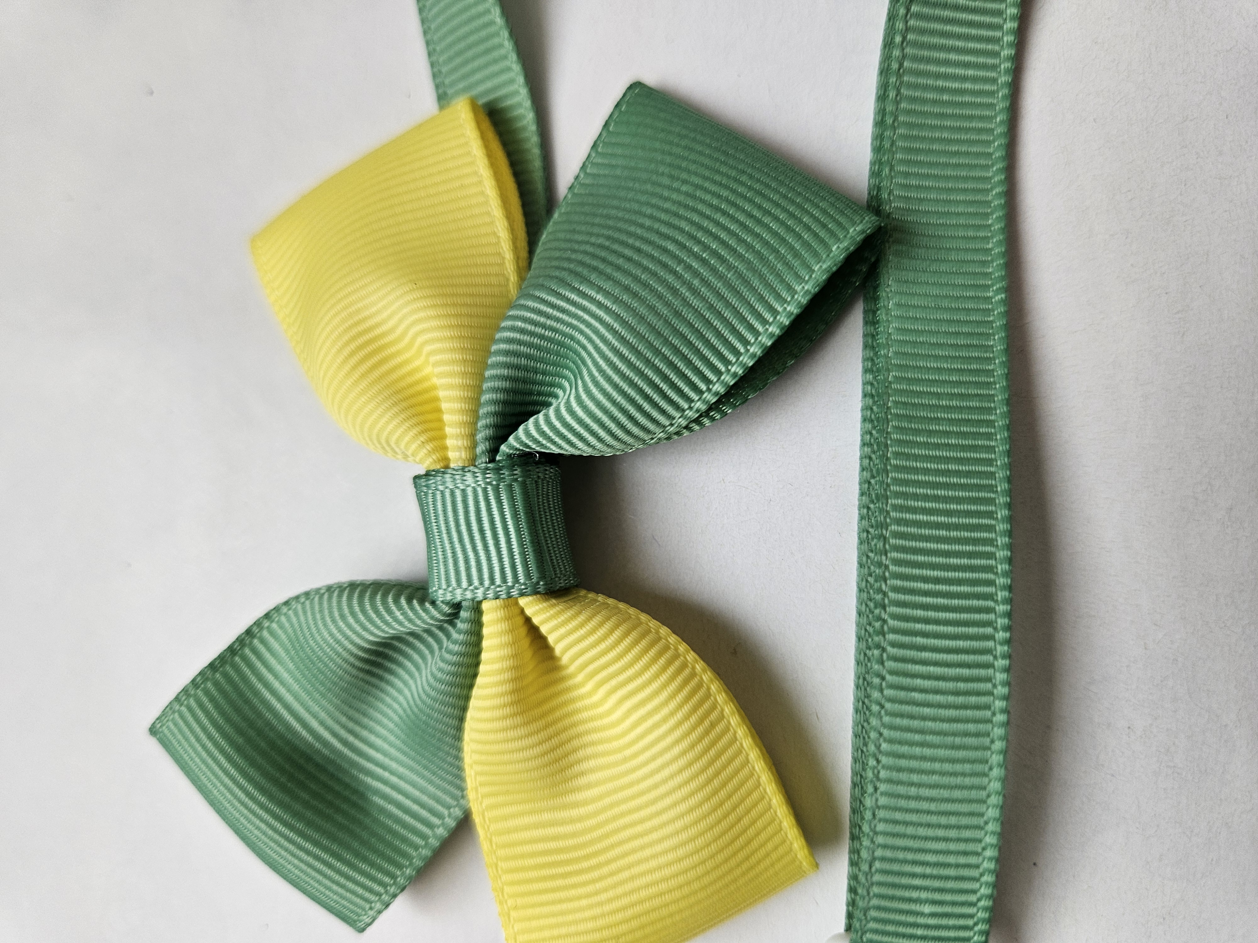 Handmade Two Colour Pet Bow  