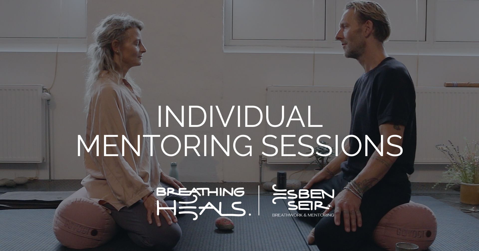 INDIVIDUAL MENTORING SESSIONS