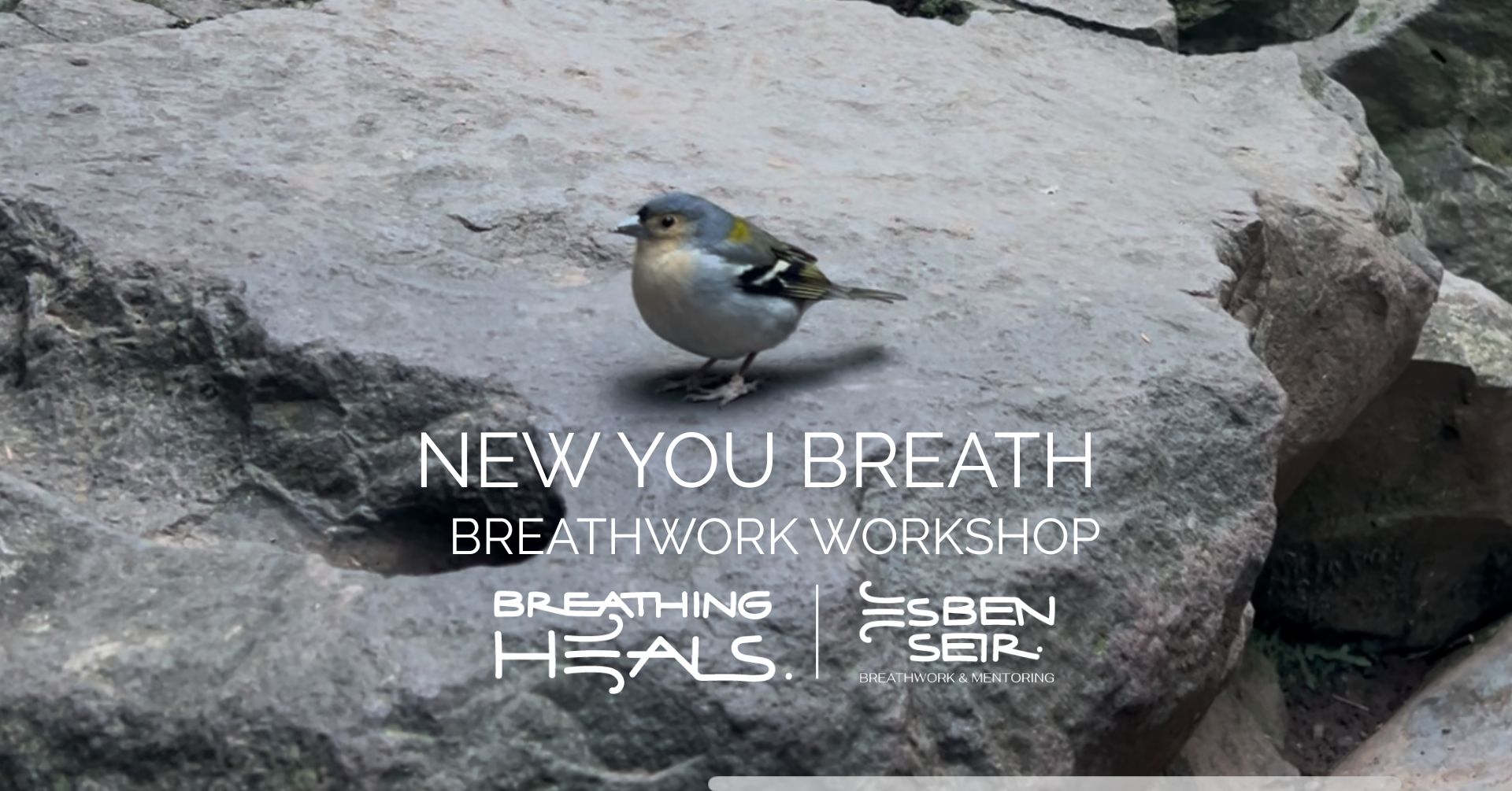 03.01.2026 NEW YOU BREATH Amager