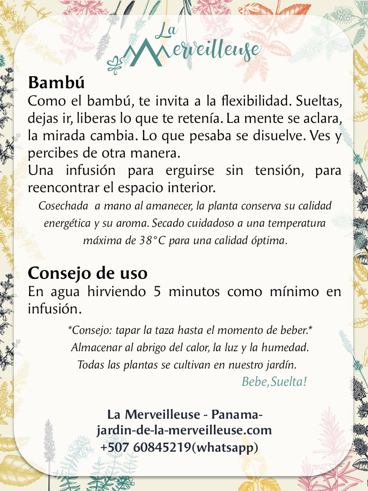 Bambú