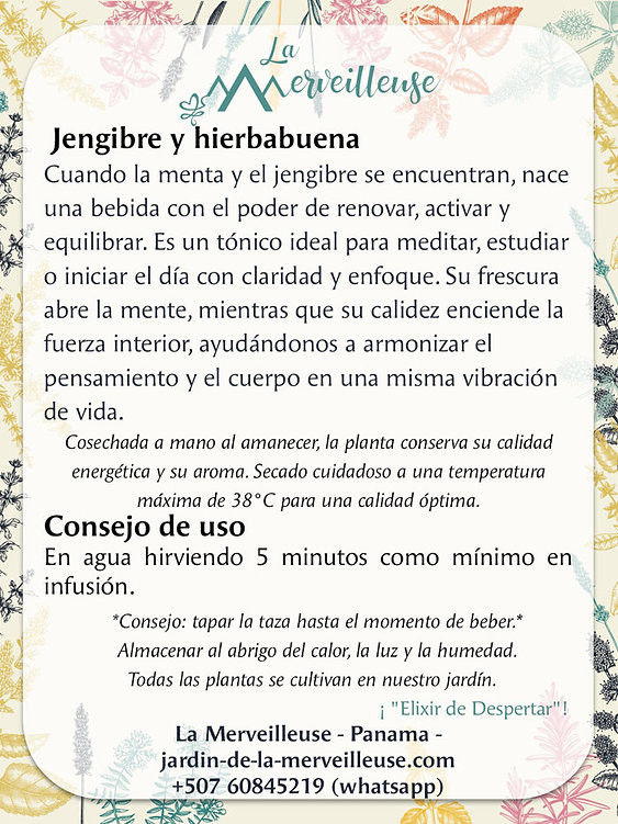 Jengibre y Hierbabuena