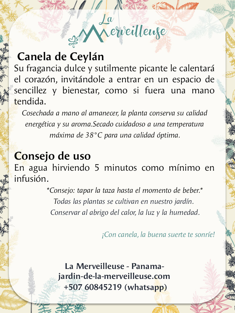 Canela de Ceylan