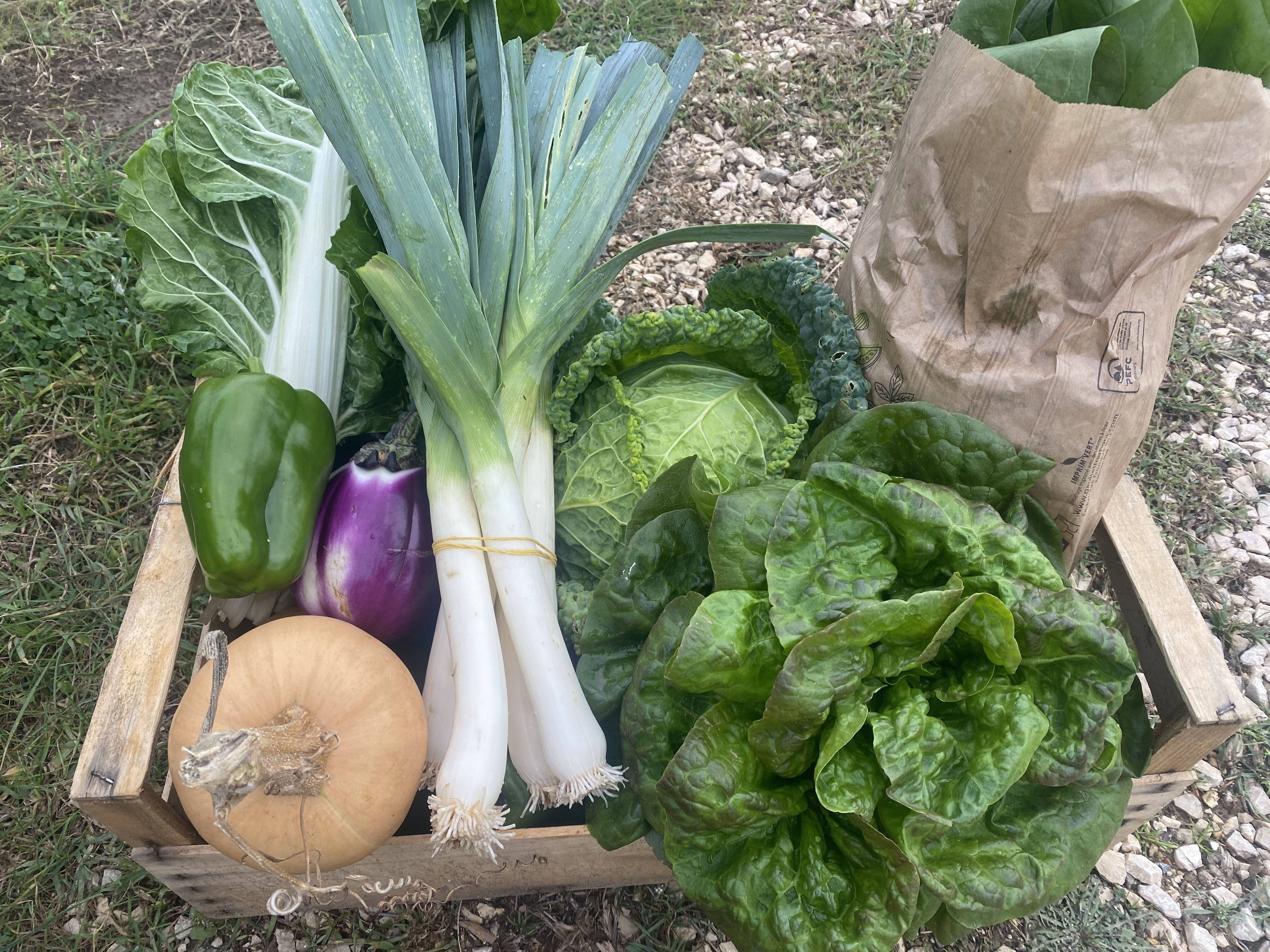 Panier de légumes de saison