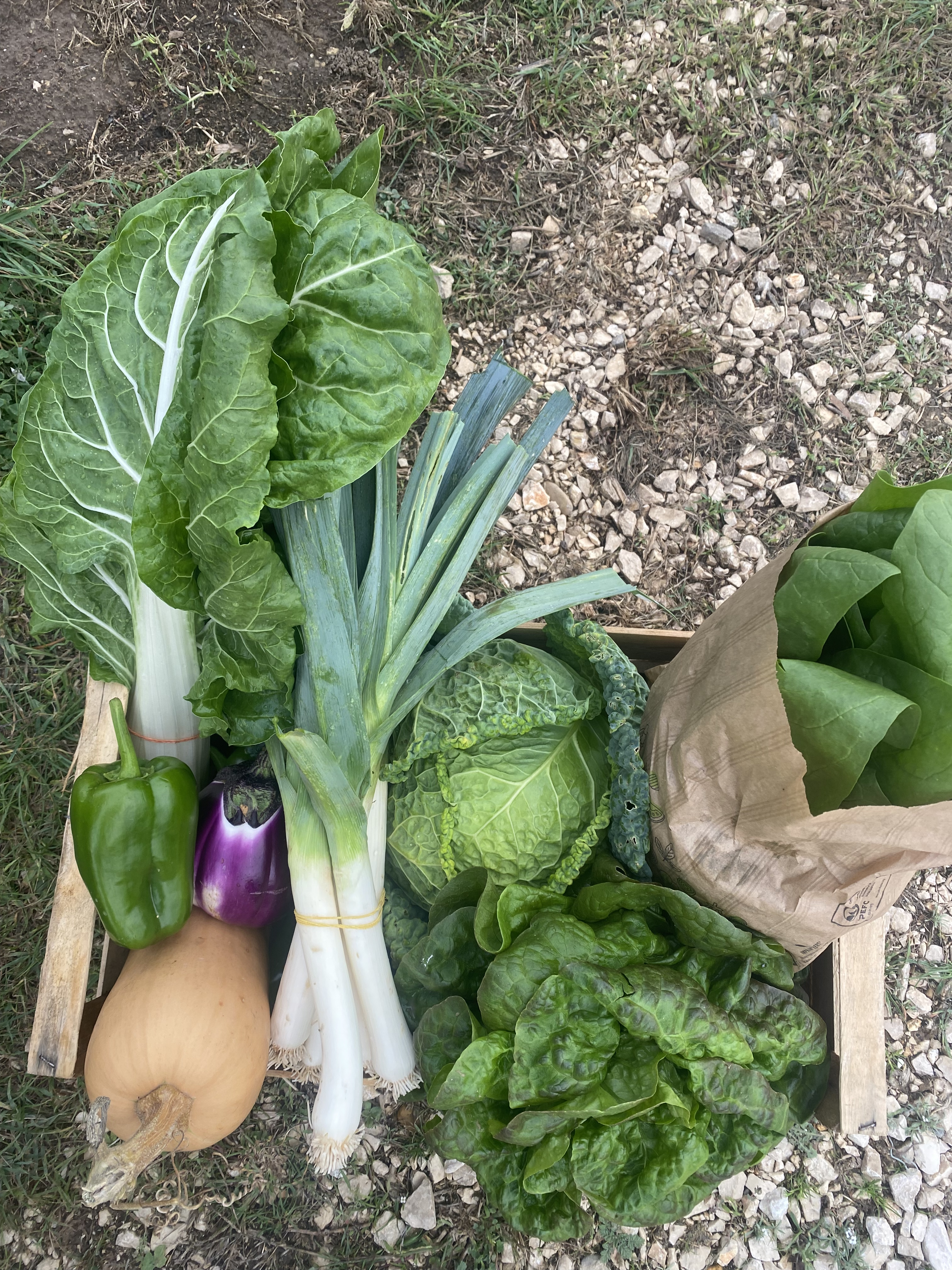 Panier de légumes de saison 