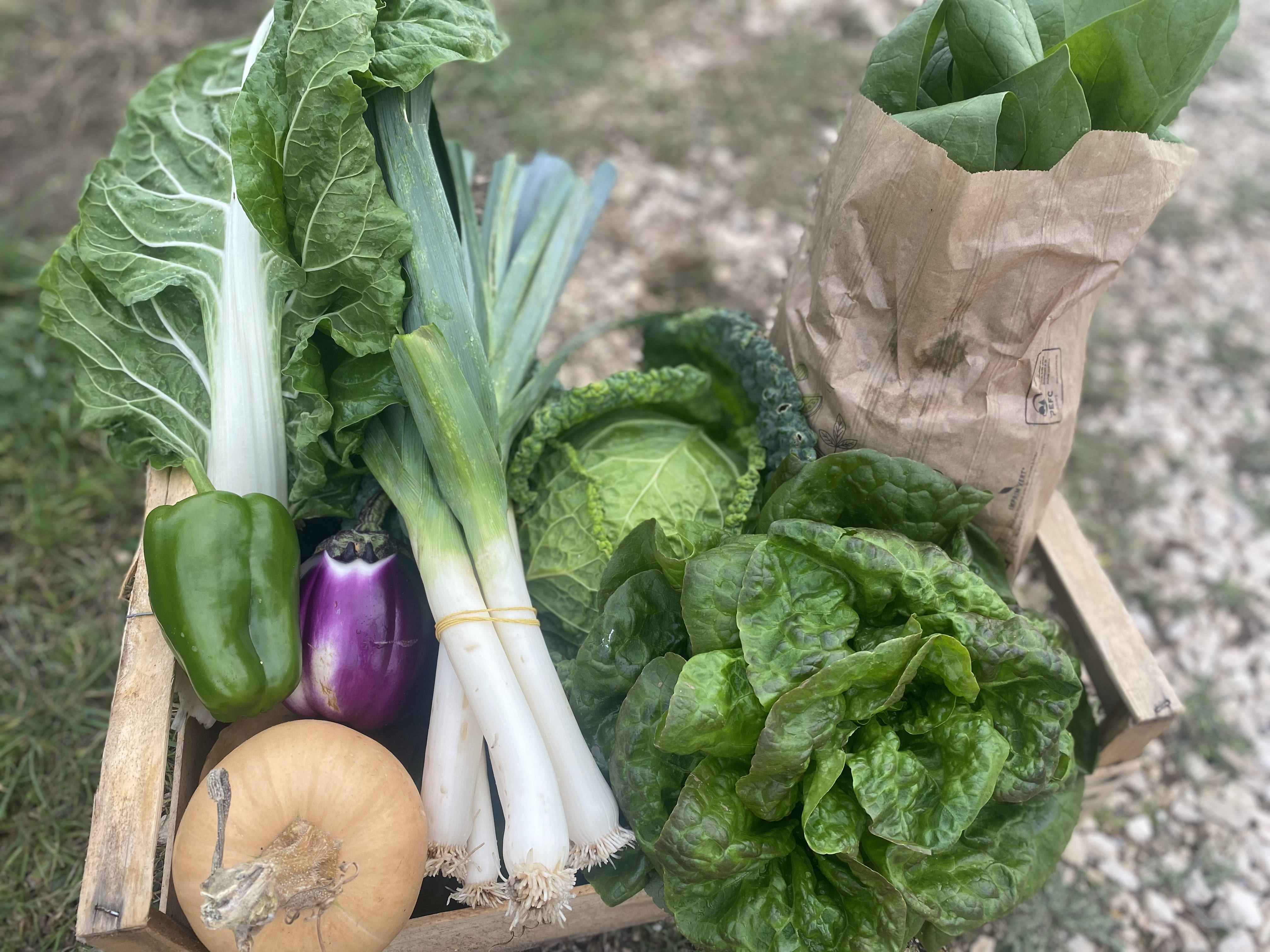 Panier de légumes de saison 