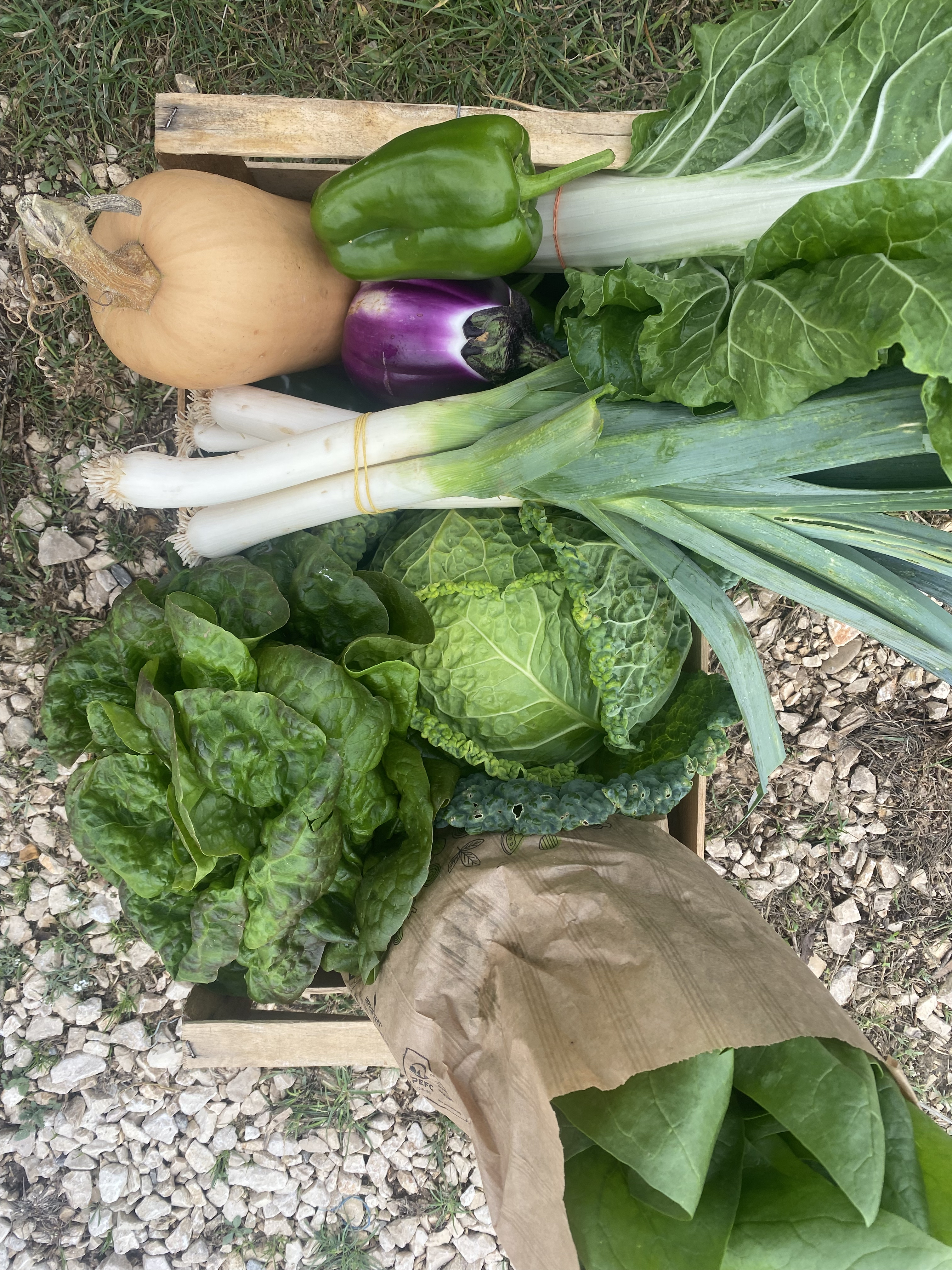 Panier de légumes de saison 