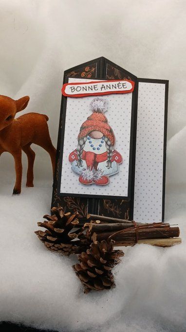 Carte : Mon gnome malicieux
