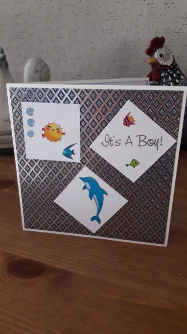 Carte : Flipper le dauphin