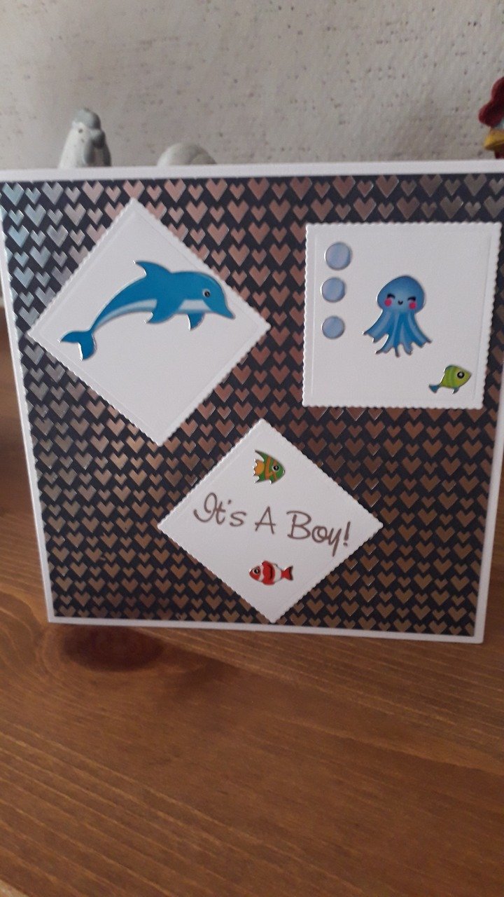 Carte : Le saut majestueux du dauphin.