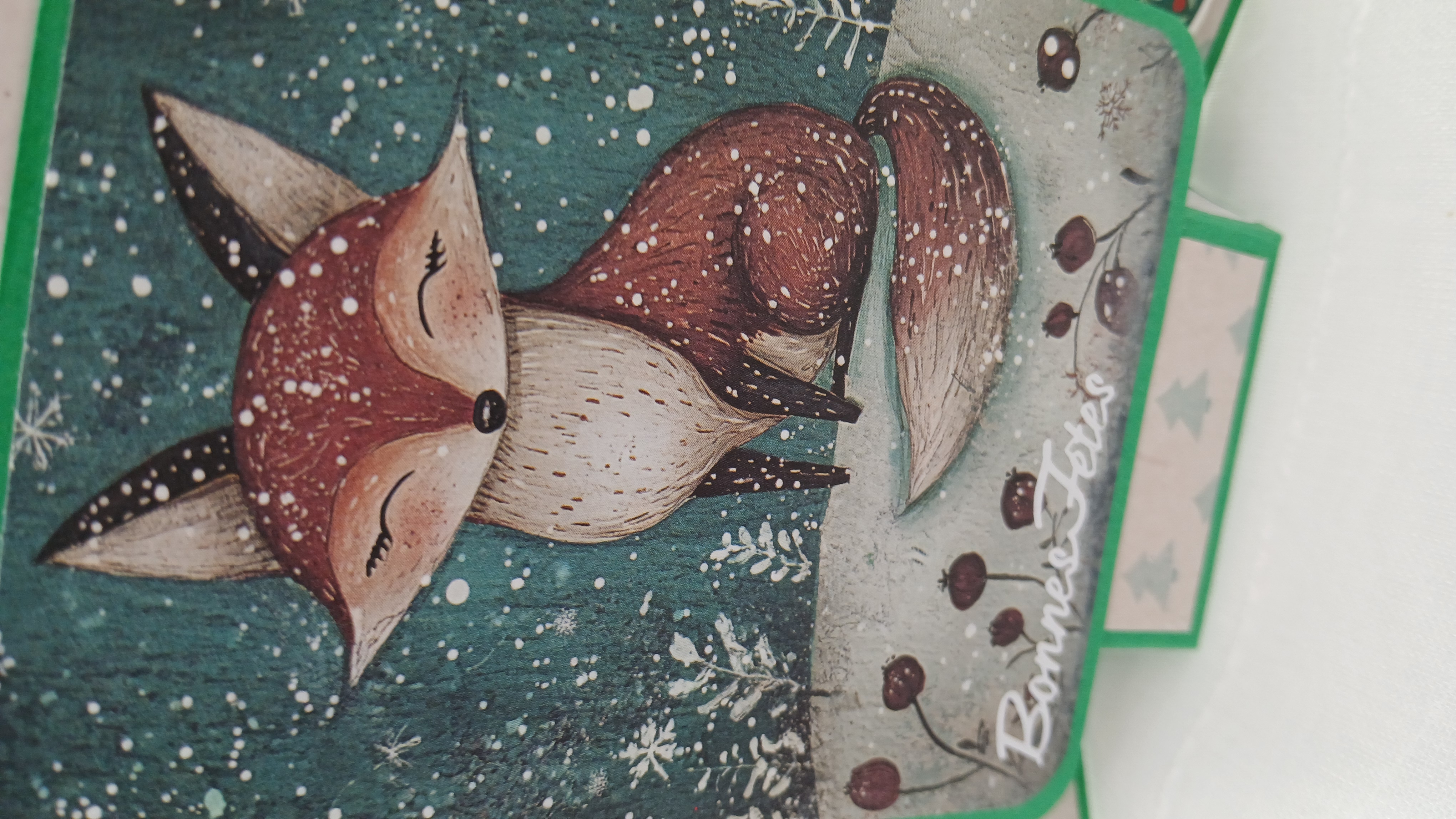 Carte : Mon beau renard roi des forêts.