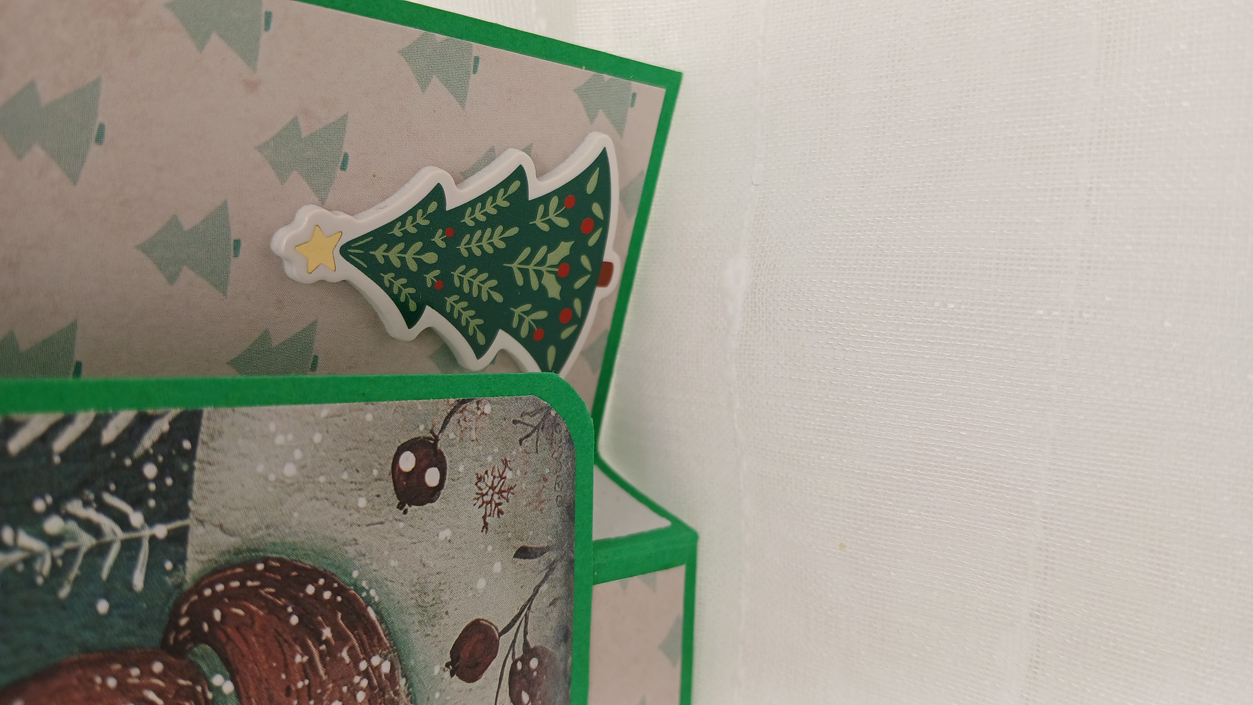 Carte : Mon beau renard roi des forêts.