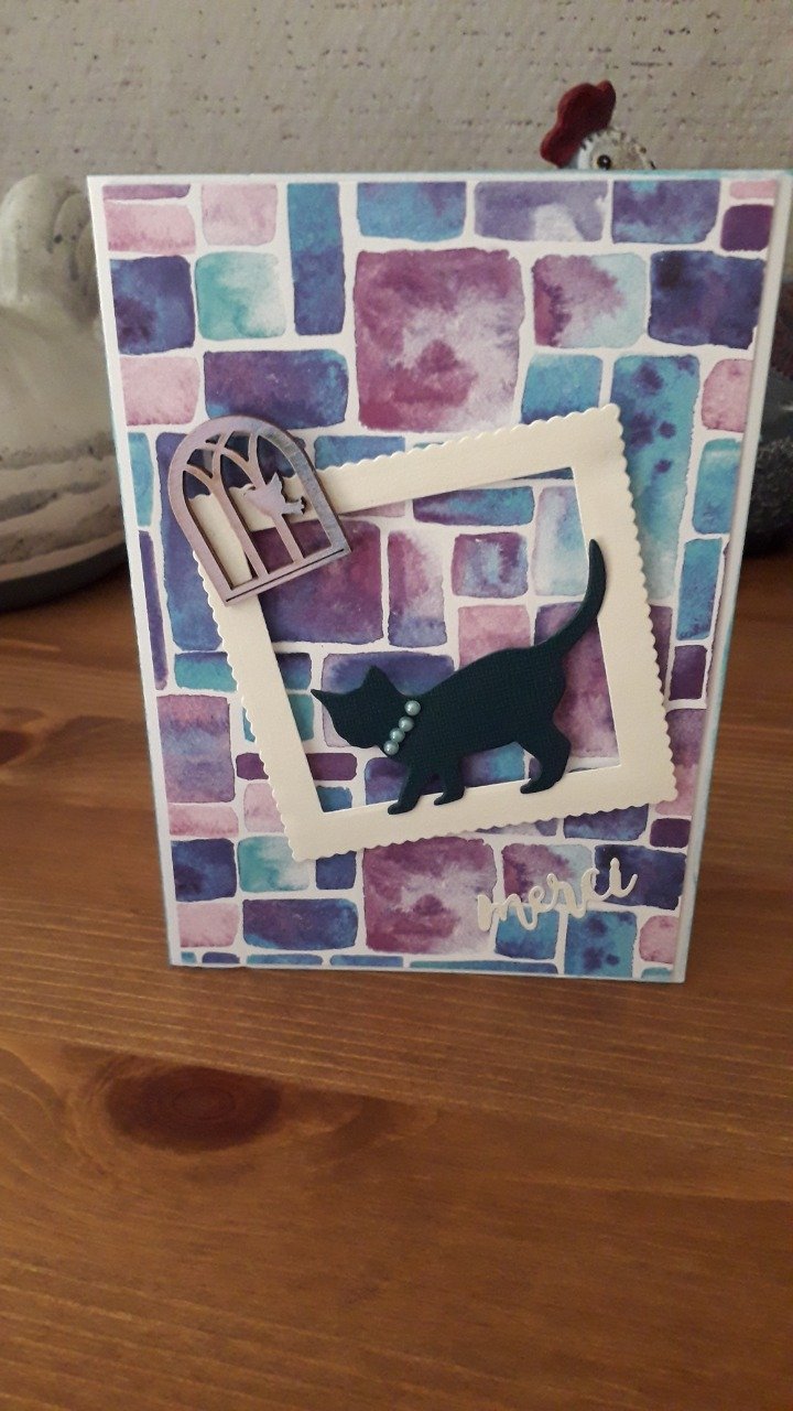 Carte : petite minette à la fenêtre