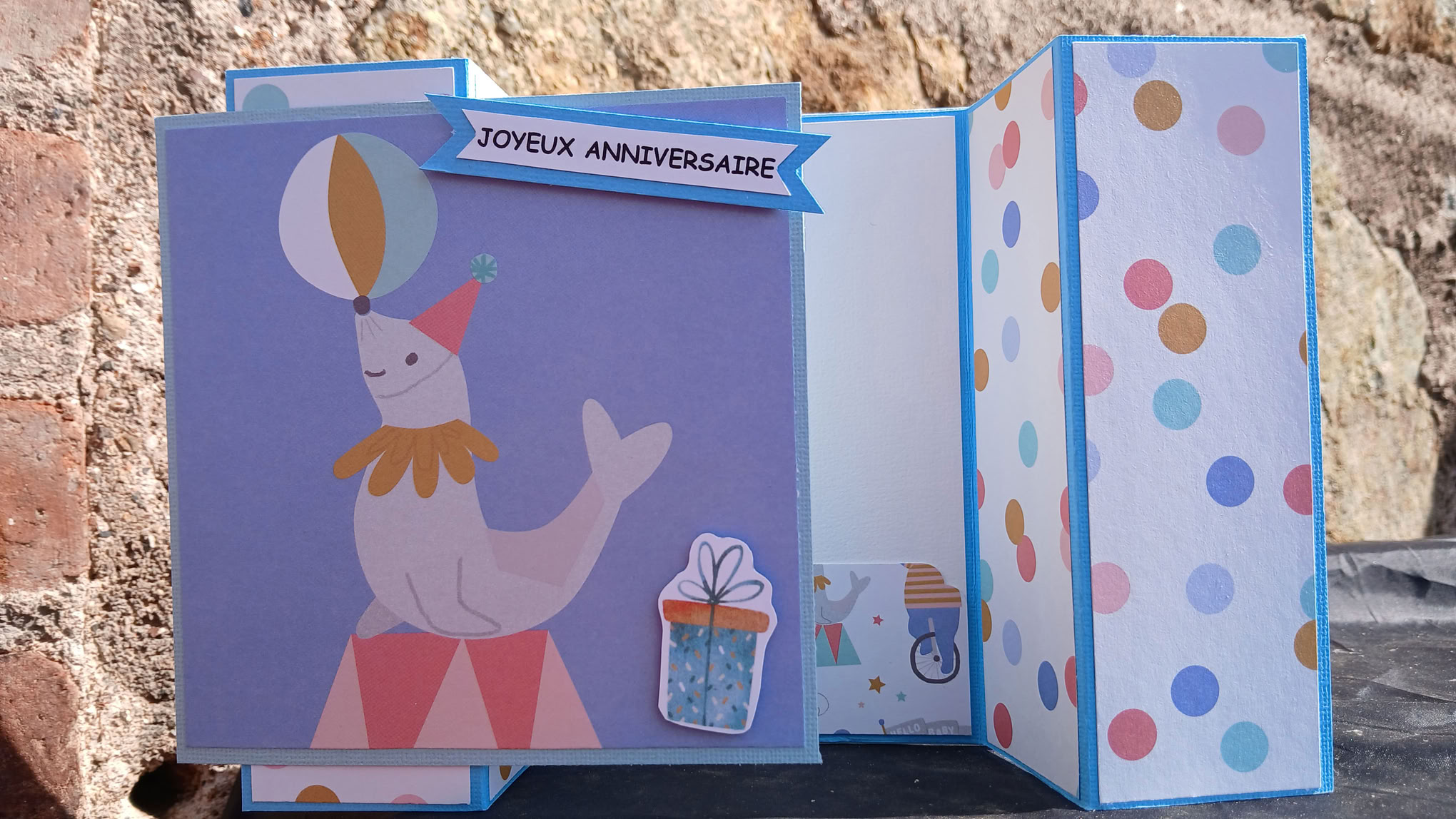Carte : Jolie petite Otarie
