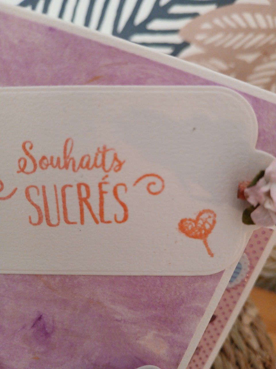 Carte : Vite, vite c'est une fille.