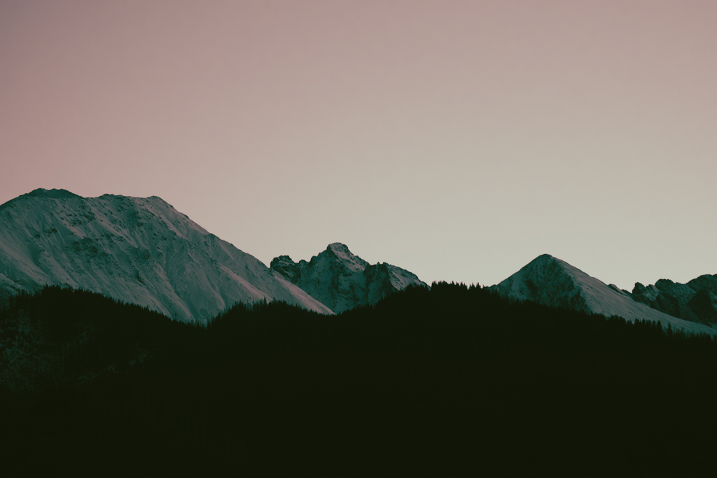 The Mountain Observer