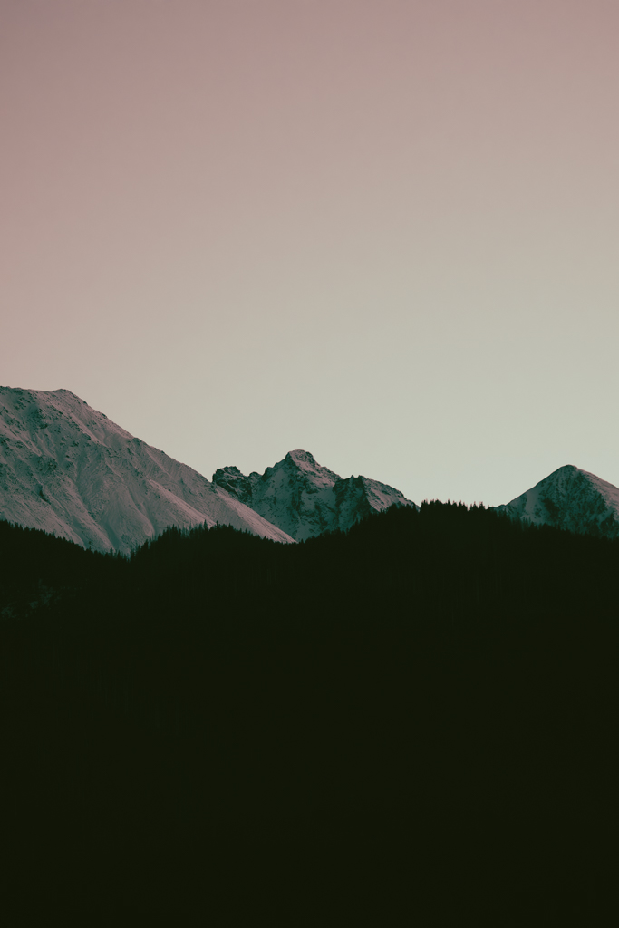 The Mountain Observer