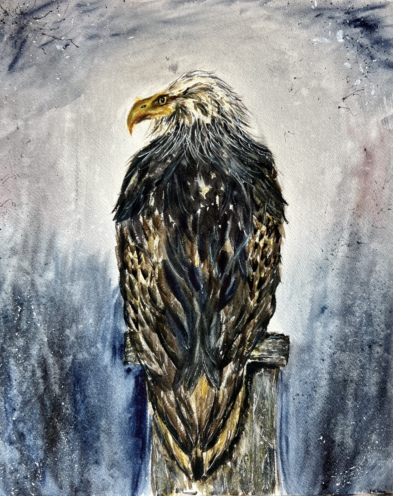 Majestic Eagle Art Print