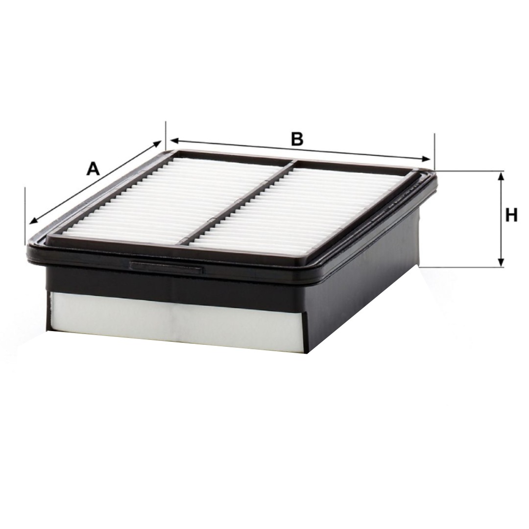 HYUNDAI ELANTRA 2.0 2017-2020 WUNSCHER Germany