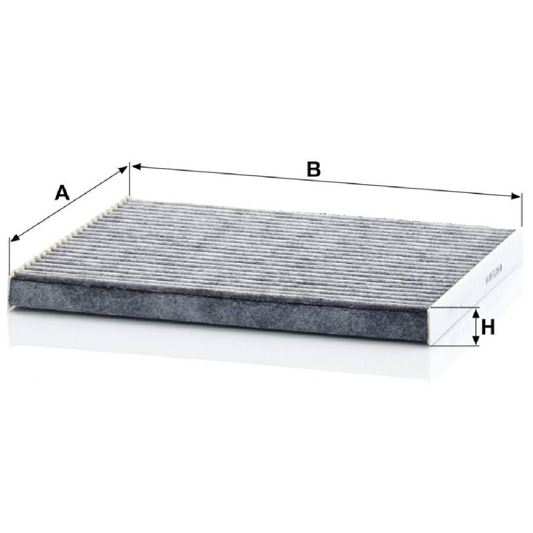 HYUNDAI IONIQ Electric 2019 WUNSCHER Germany