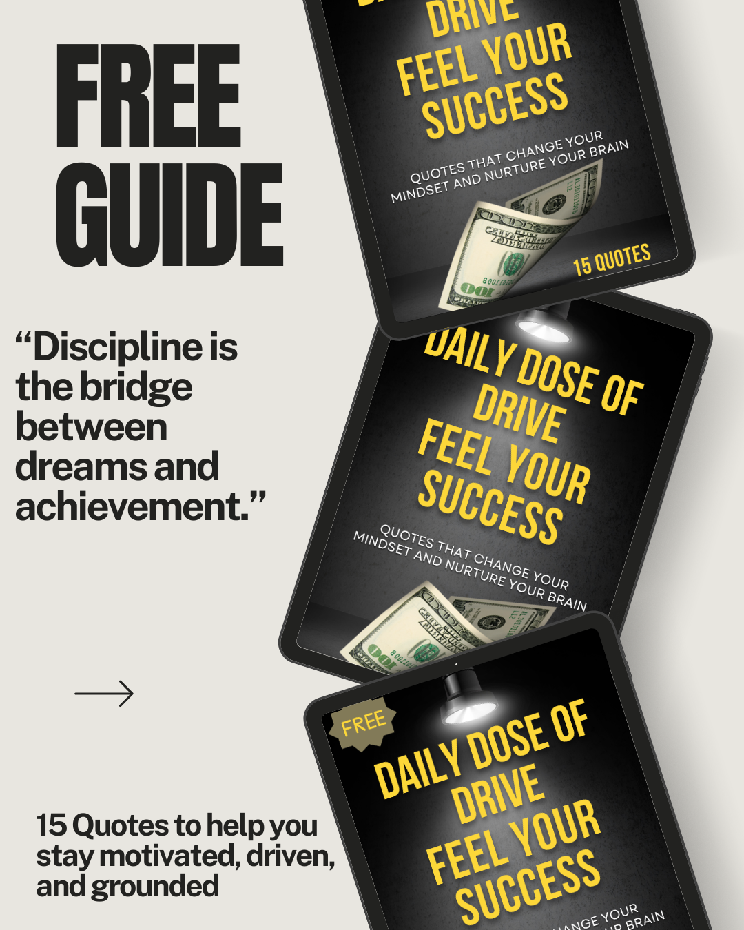 Daily Dose of Drive: Feel Your Success Guide