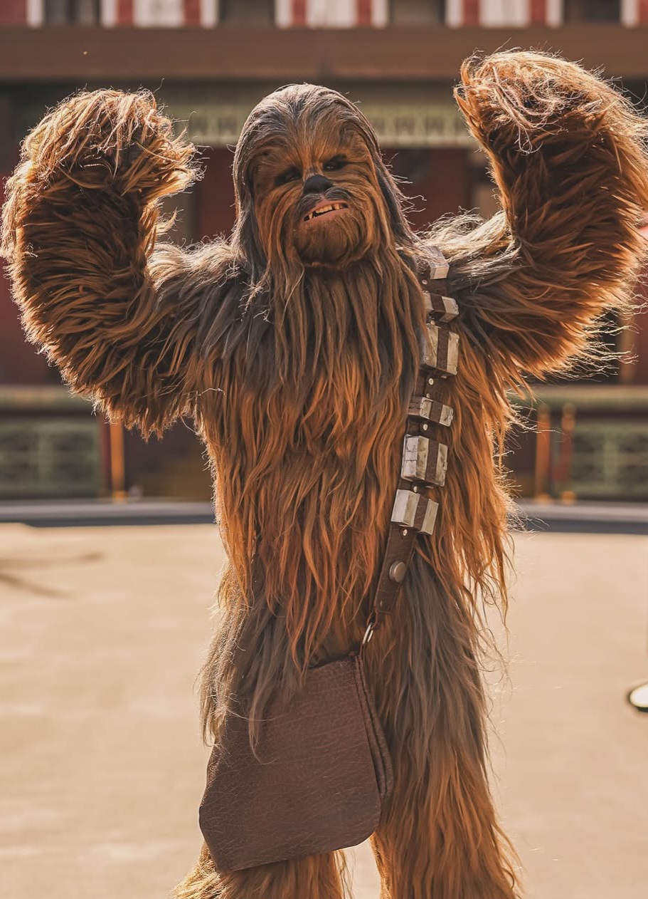 Athentic Replica Chewbacca Costume