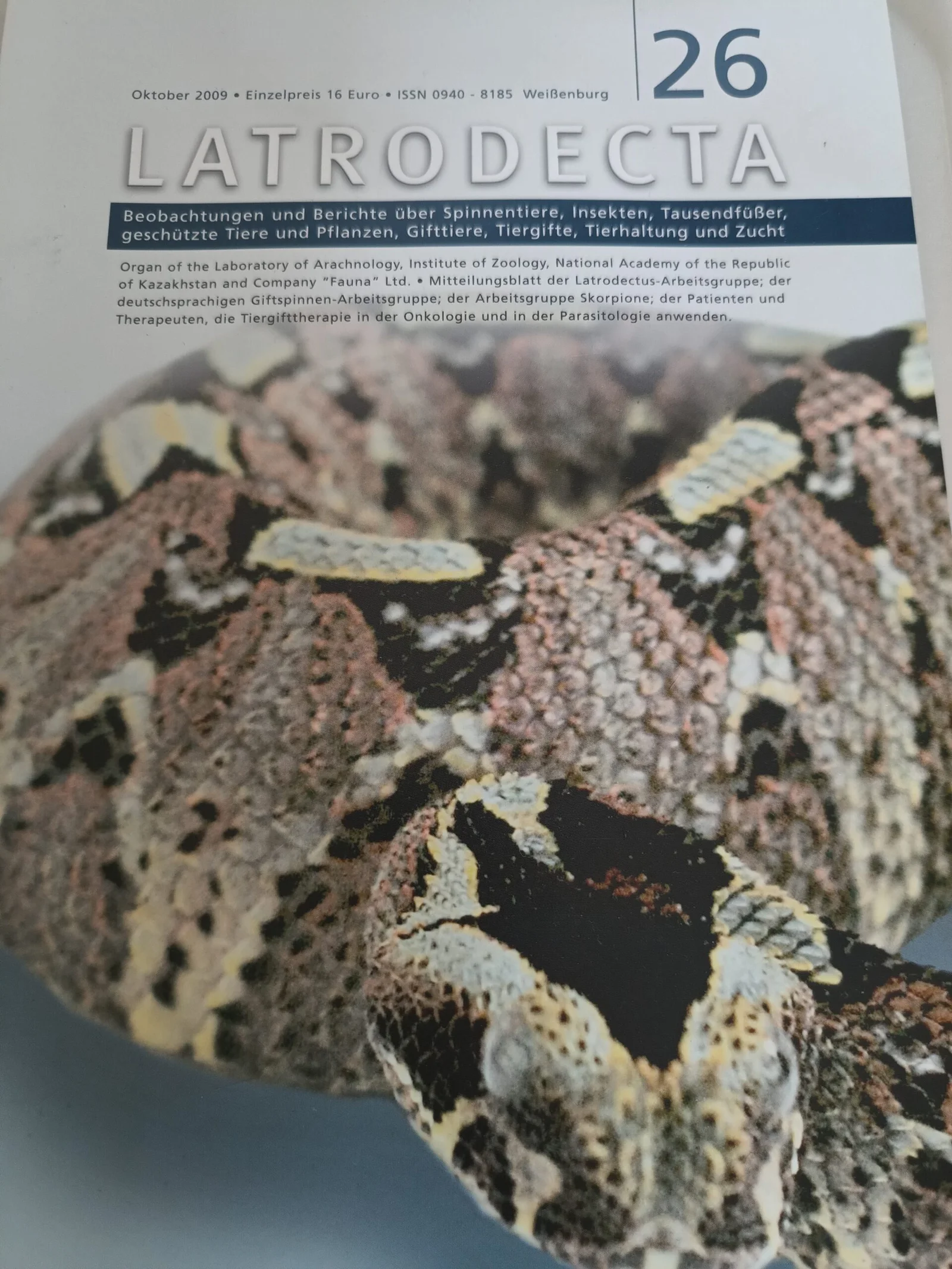 Latrodecta (26)