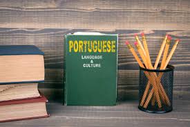 Artigos da Língua Portuguesa