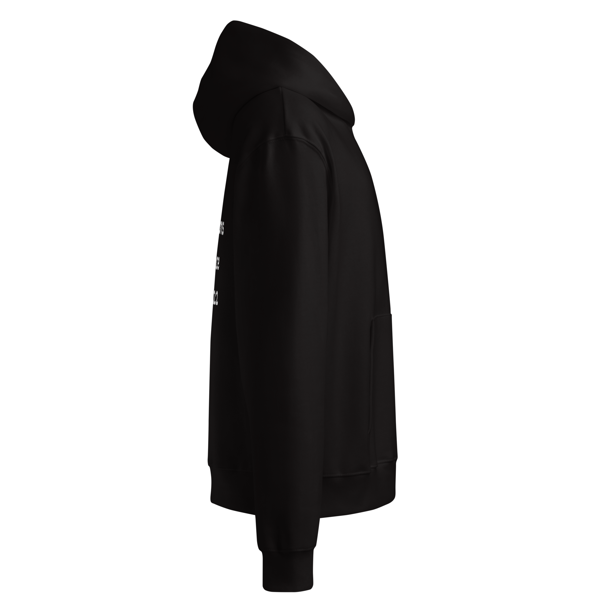 Oversized heavyweight hoodie