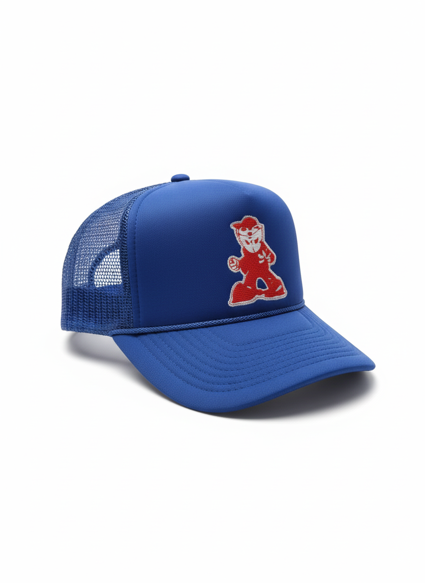 Blue Mesh Baseball Cap
