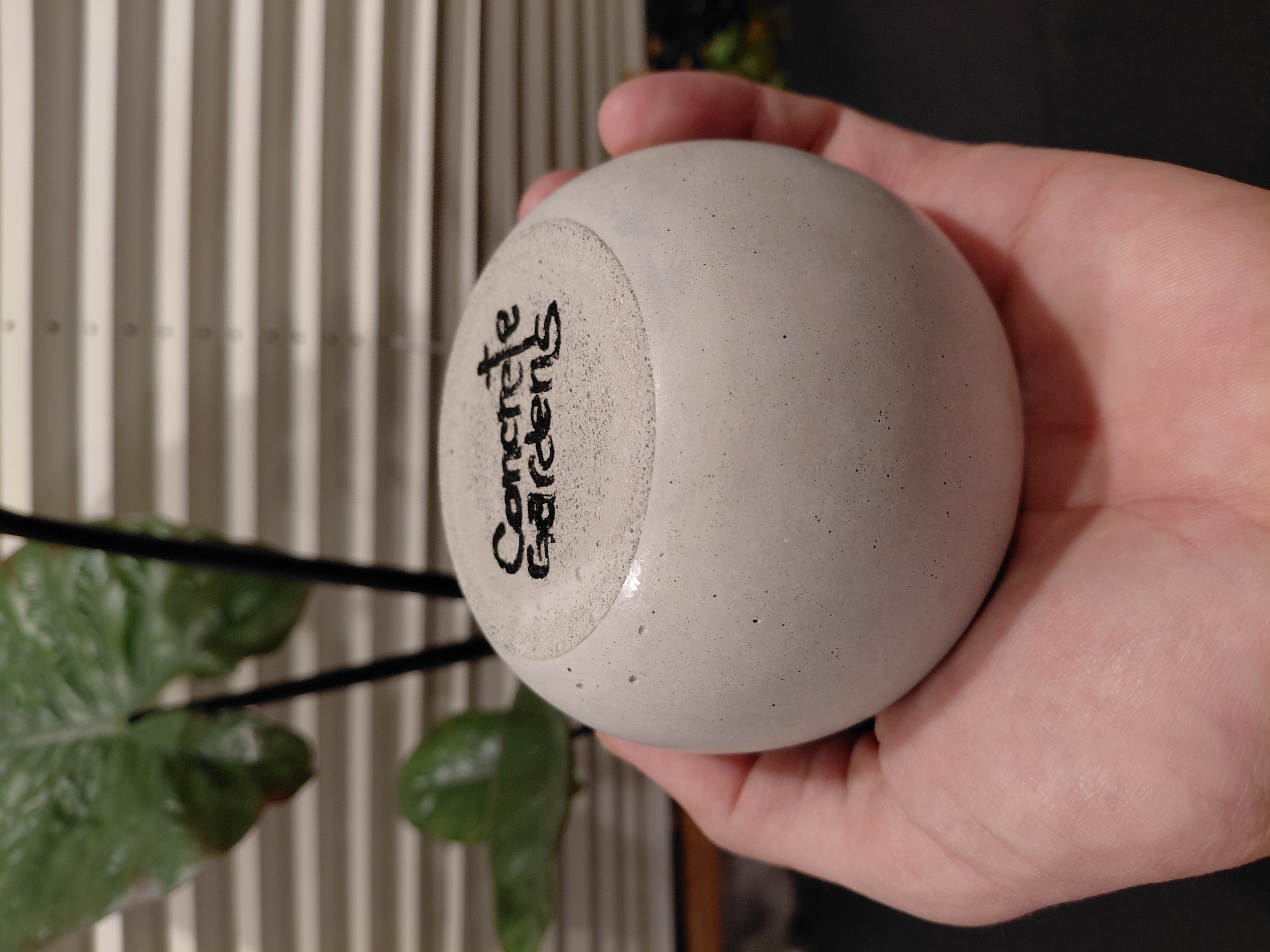 Concrete Round Pot