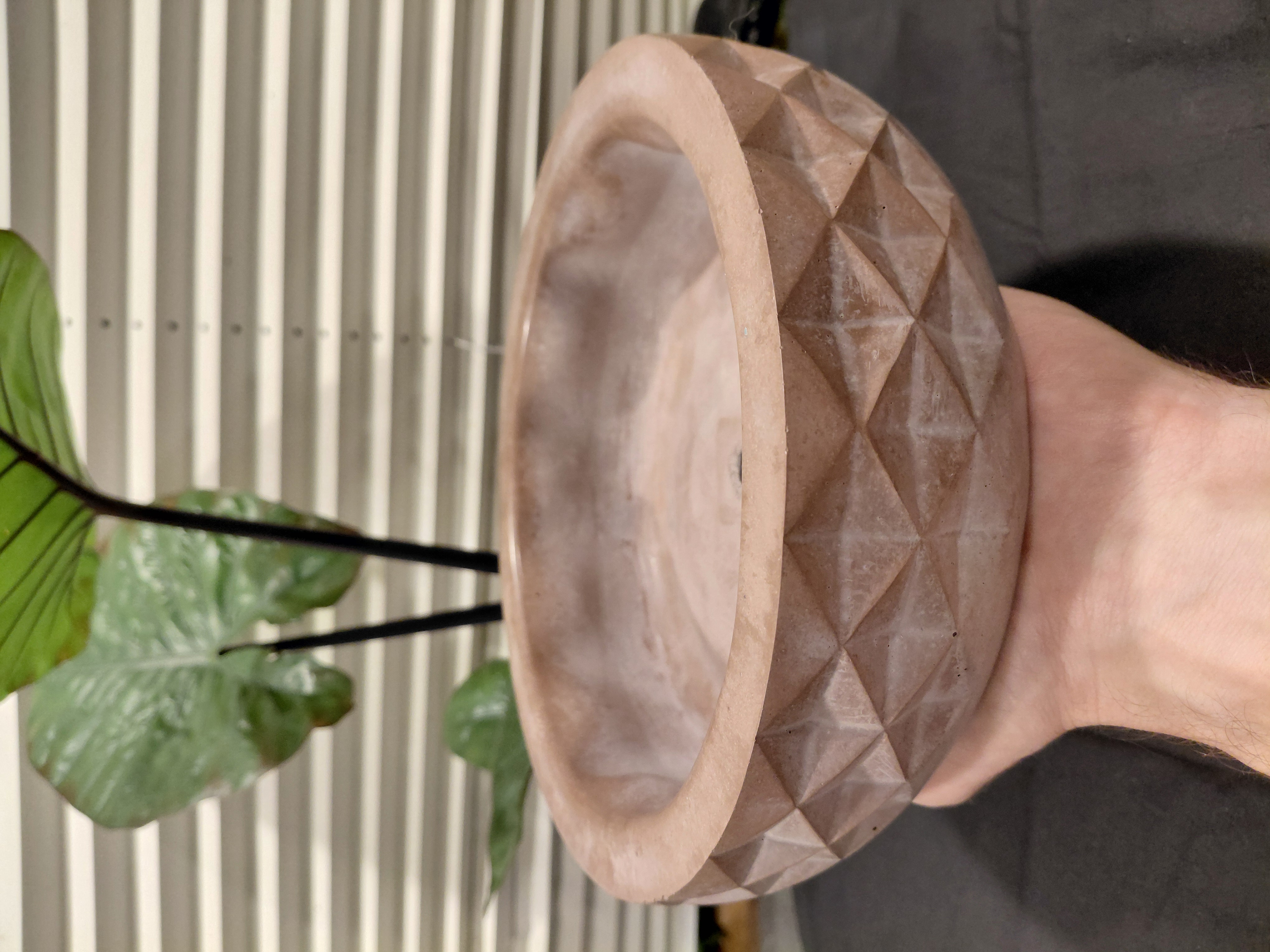 Brown Bonsai Concrete Bowl