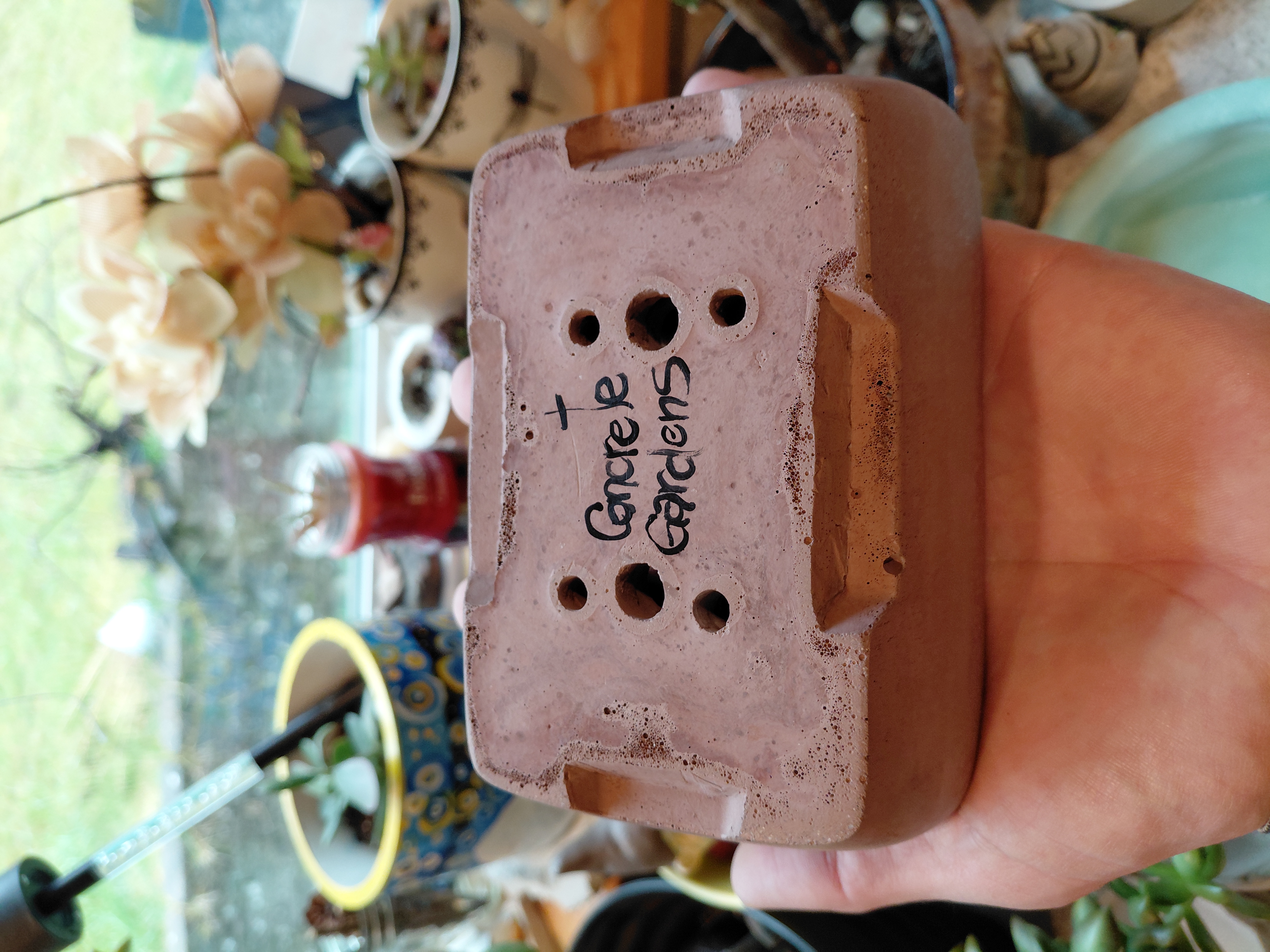 Small Brown Bonsai Pot