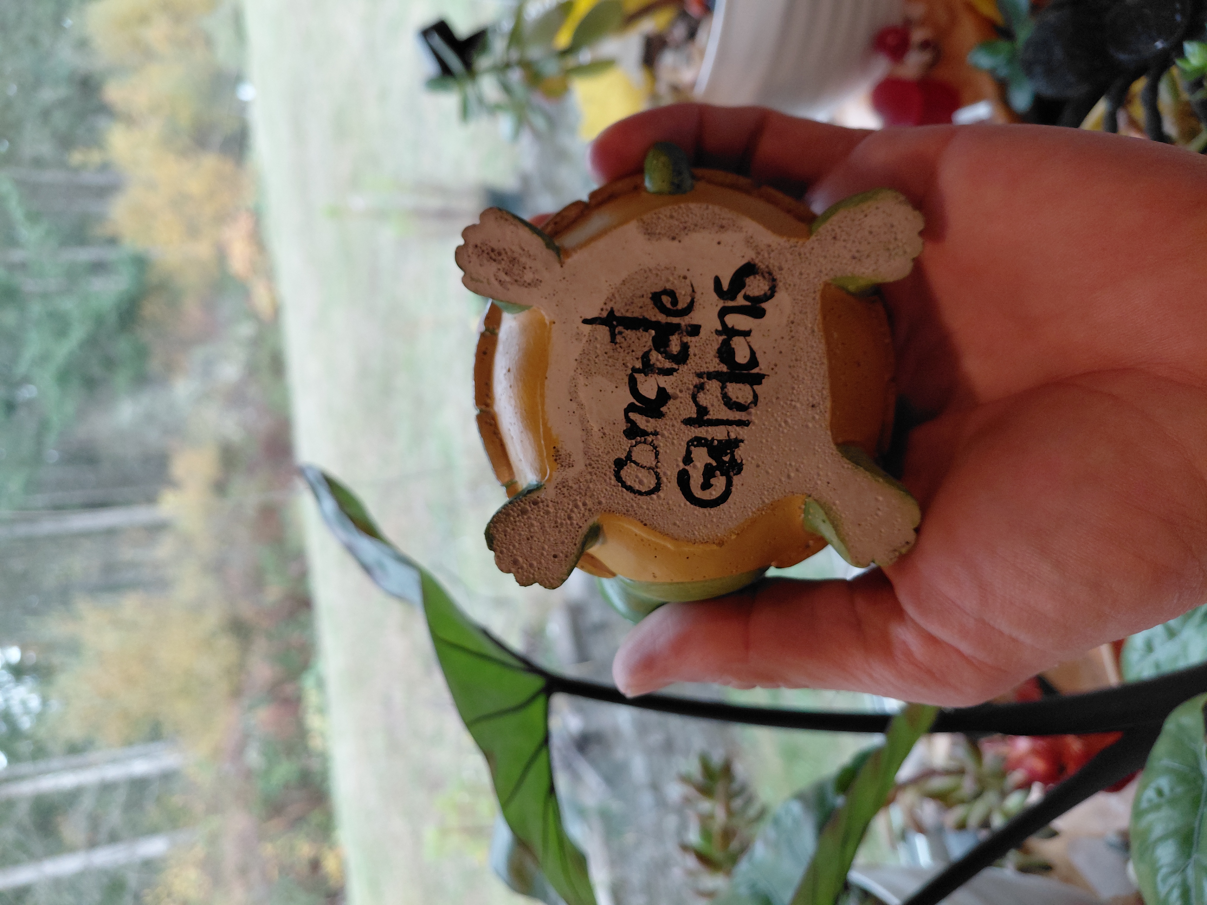 Turtle Pot Hand Painted Concrete