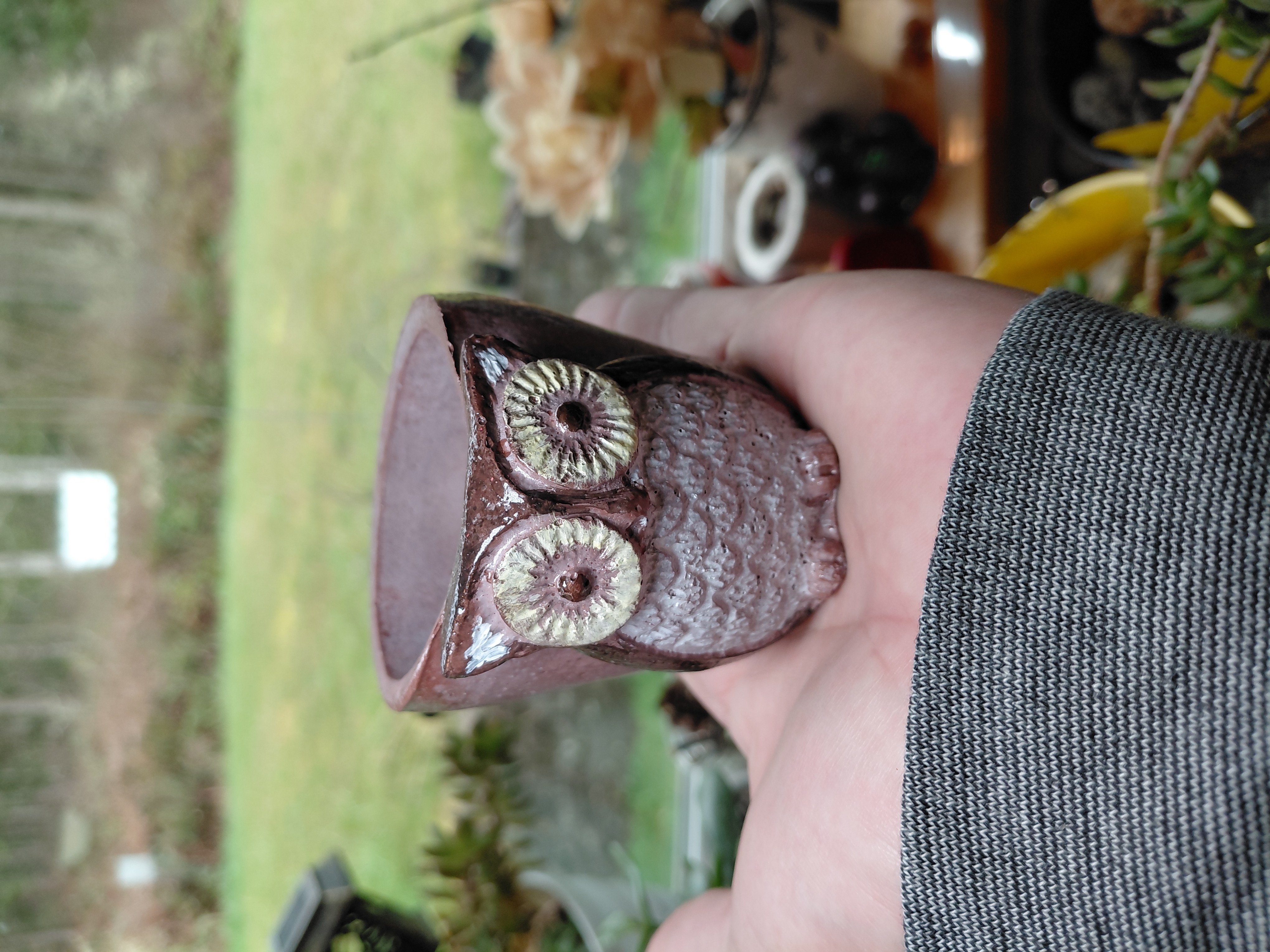Hand Painted Owl Pot w/hole