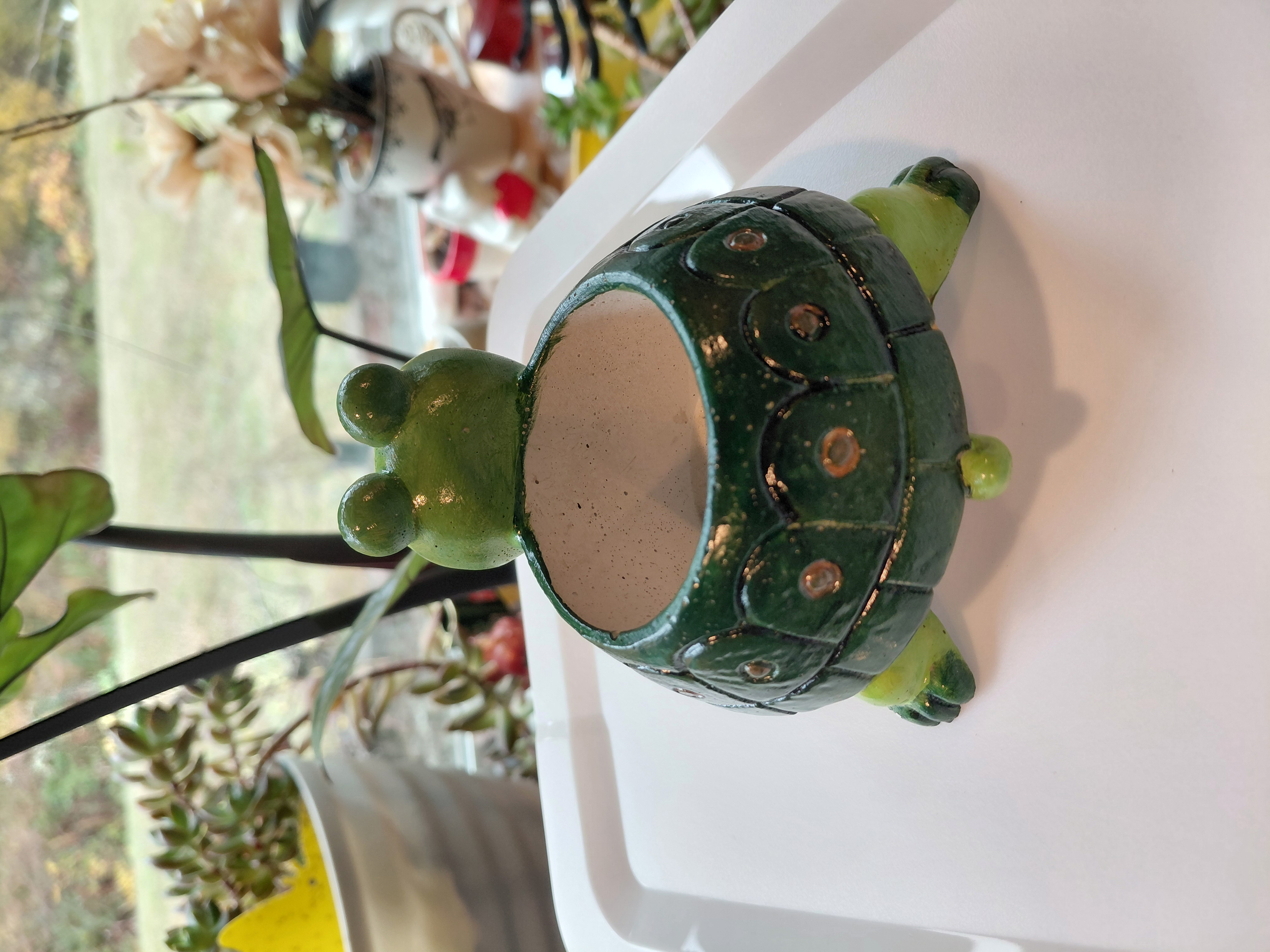 Hand Painted Concrete Turtle Pot